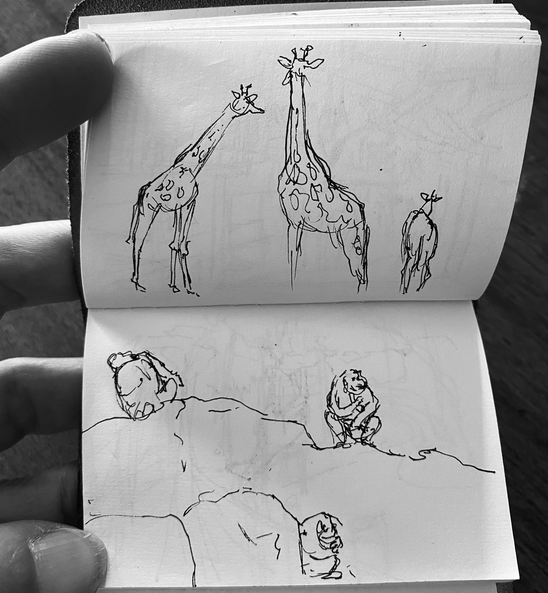 ink