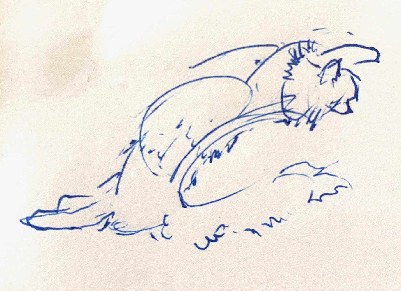 ballpoint pen