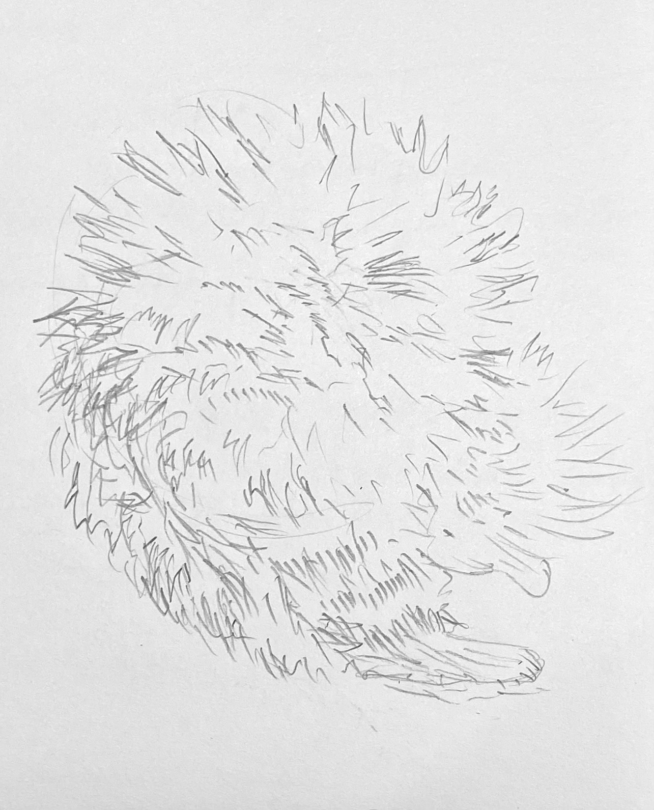 graphite