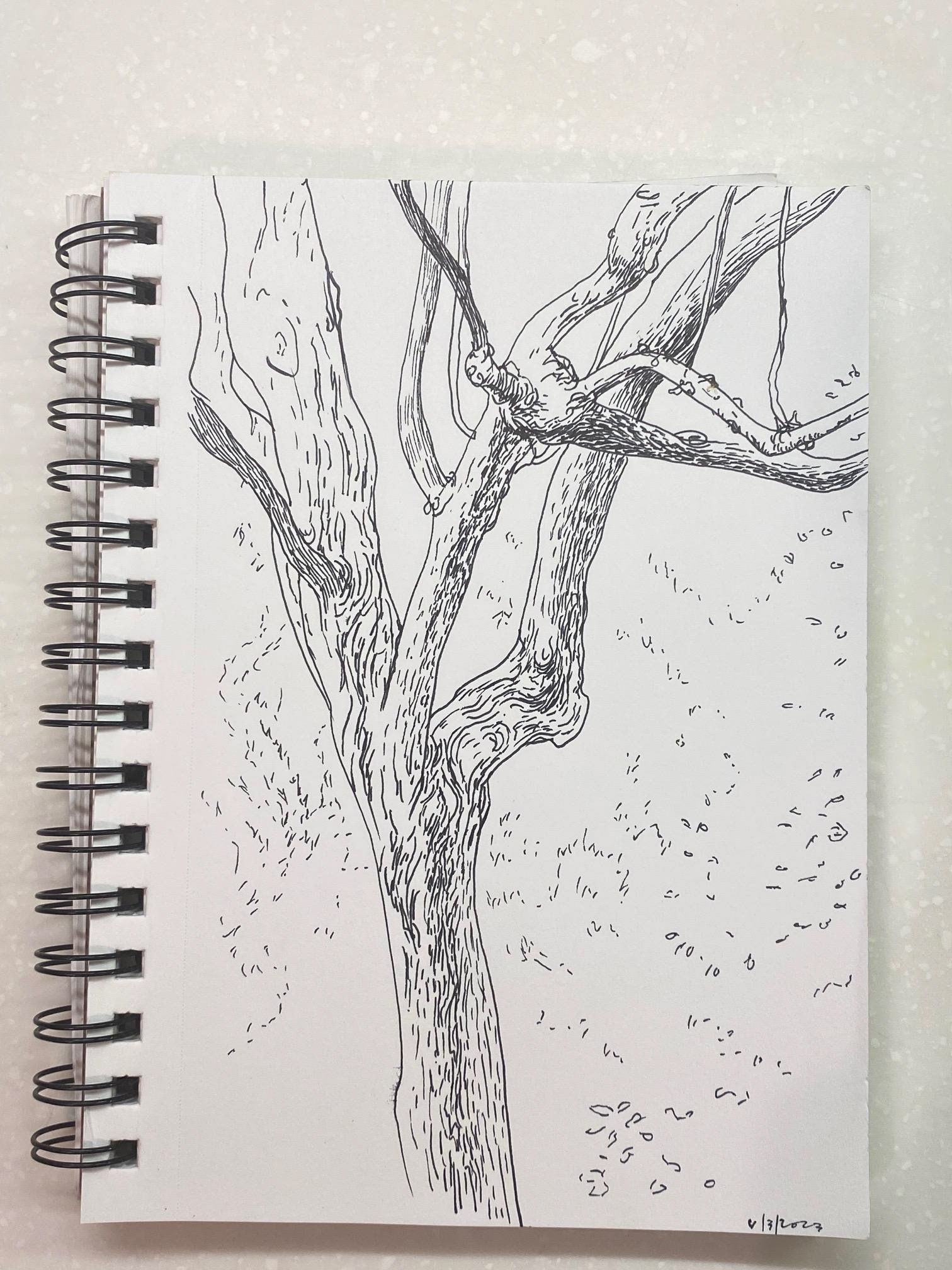 ink