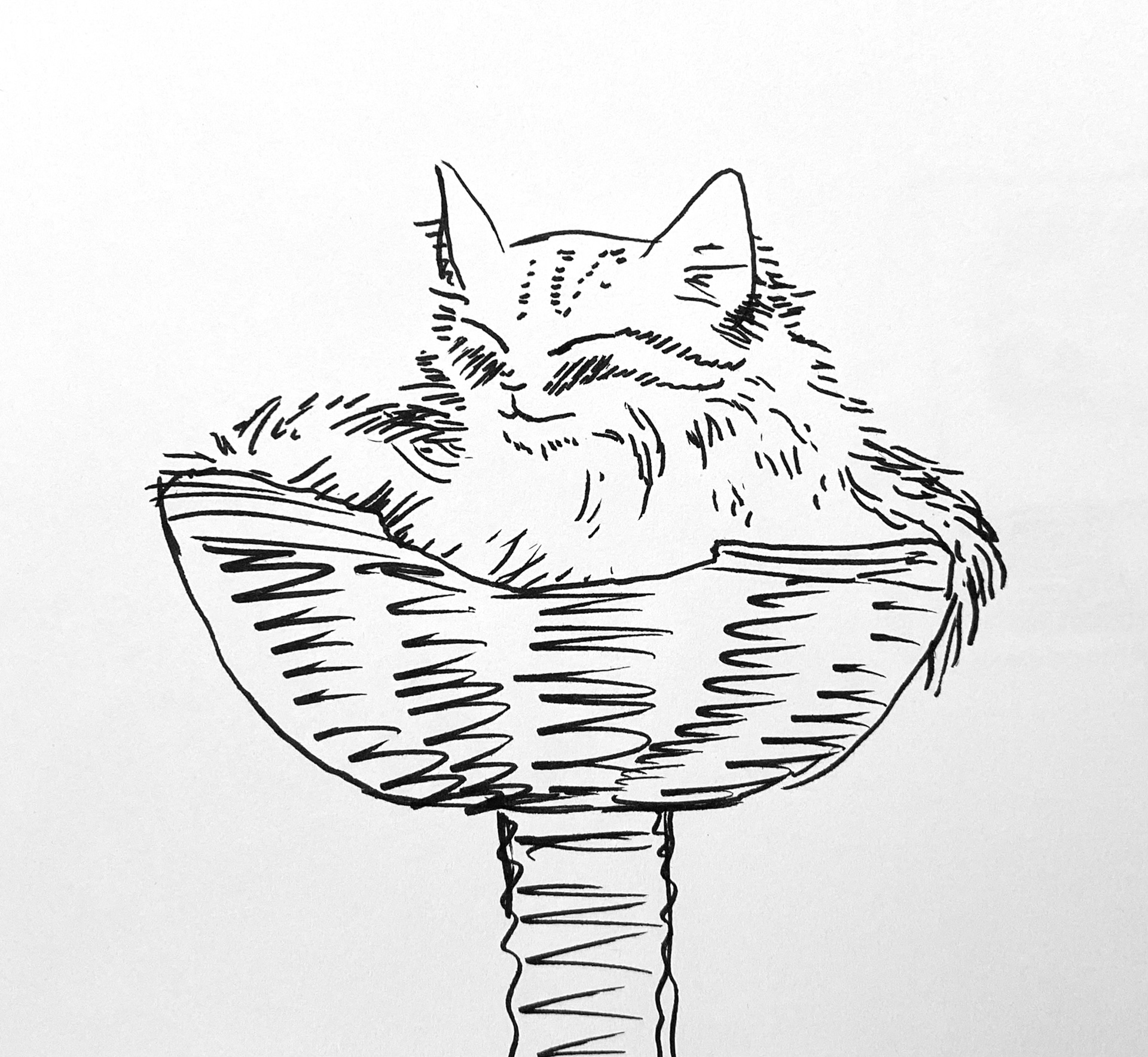 ink