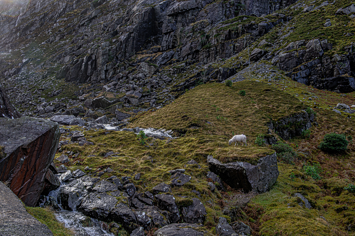 Dunloe gap Ireland