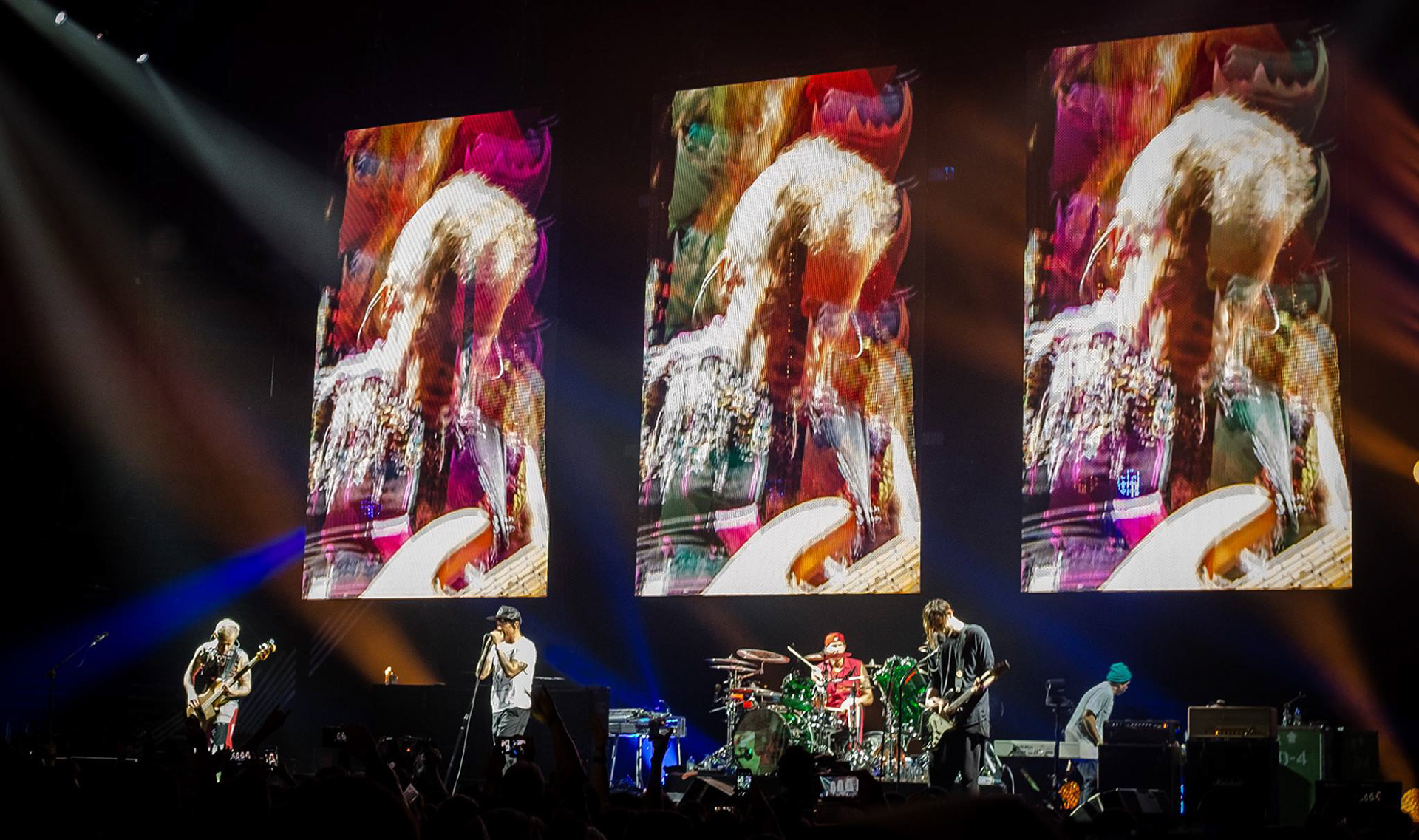 RHCP 2016