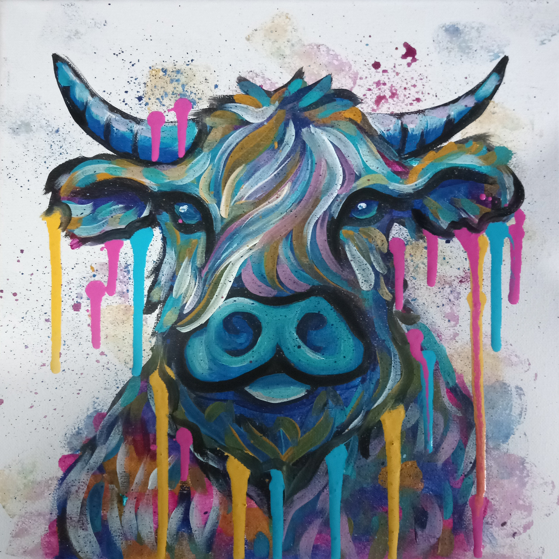 Highland Cow
