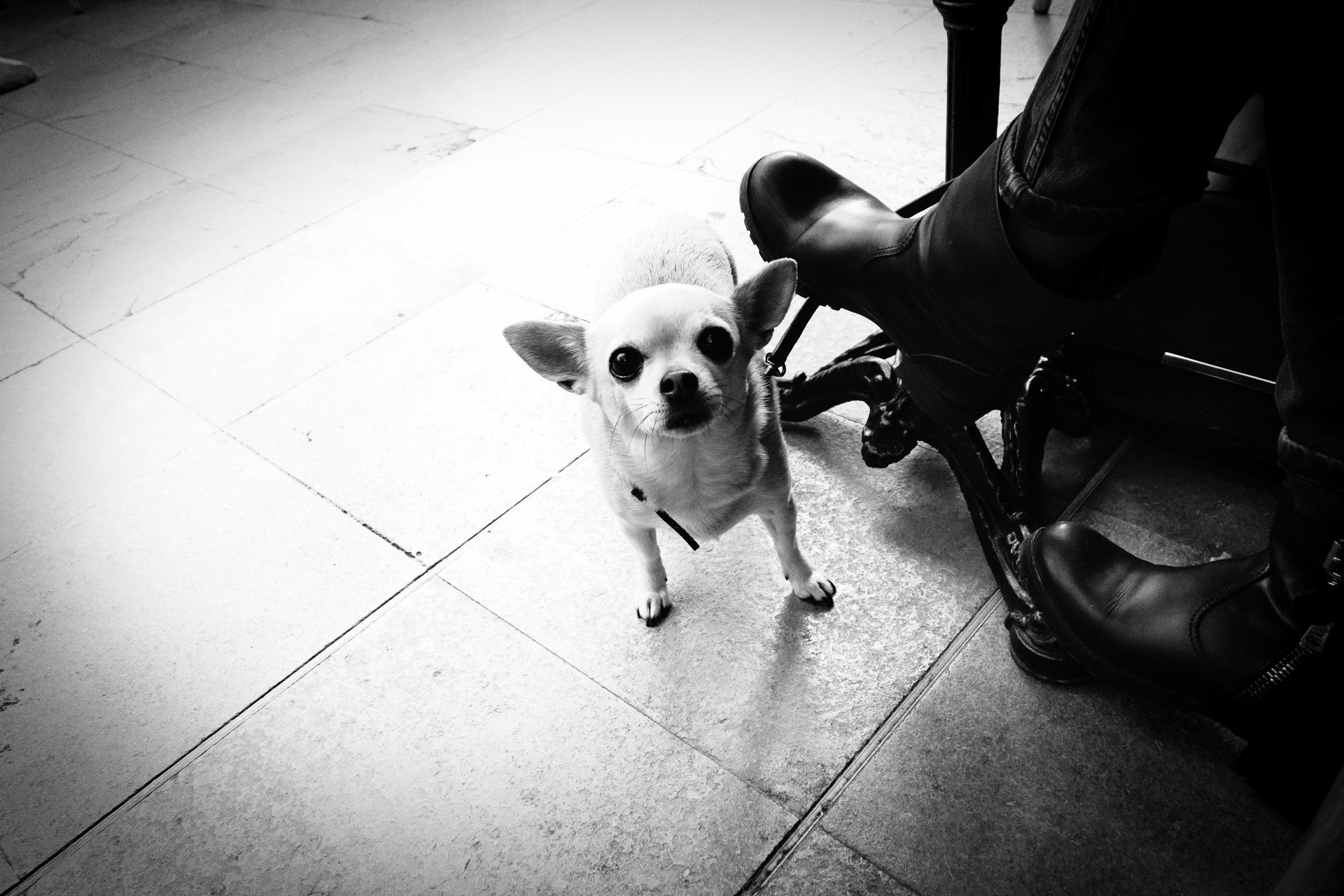 Street photography