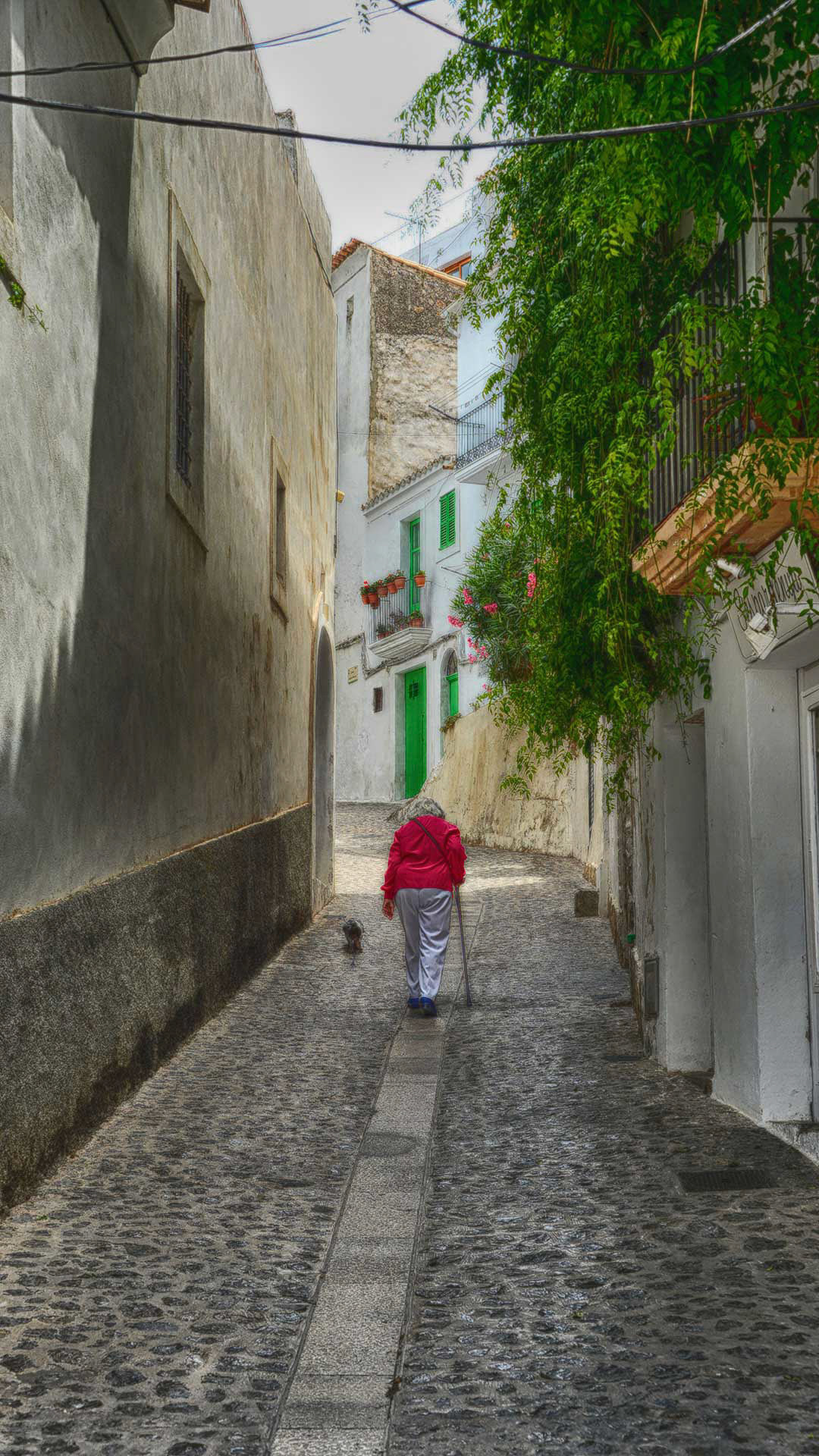 Street photography