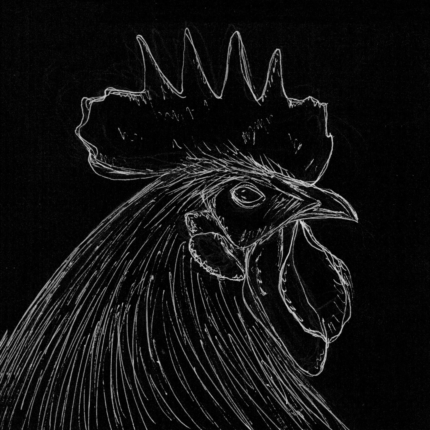 Hen, conceptual