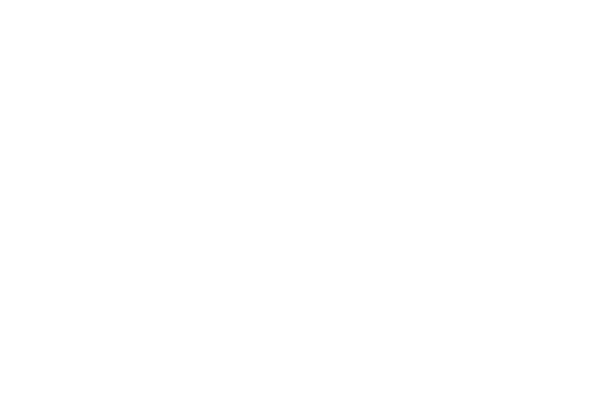 V2A logo