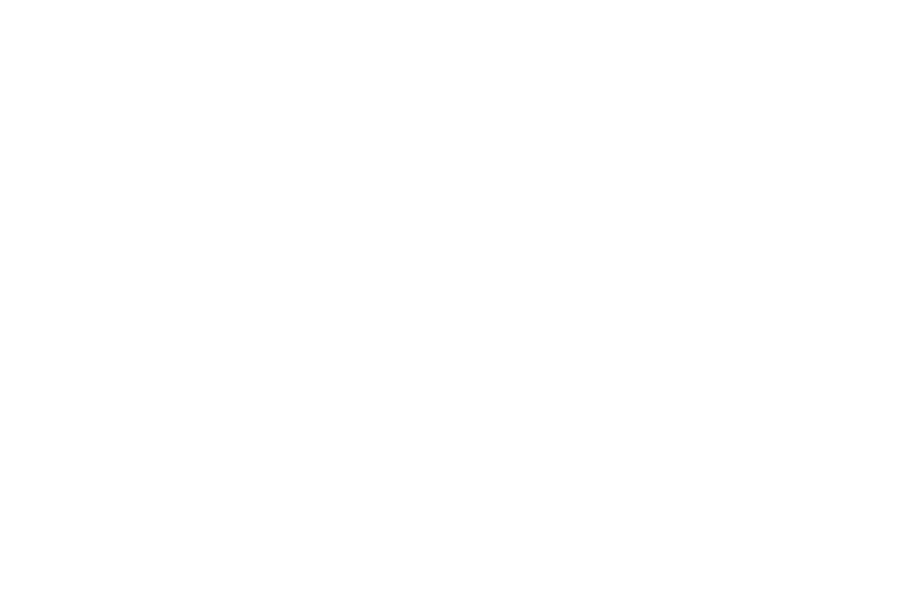 Shadow System logo