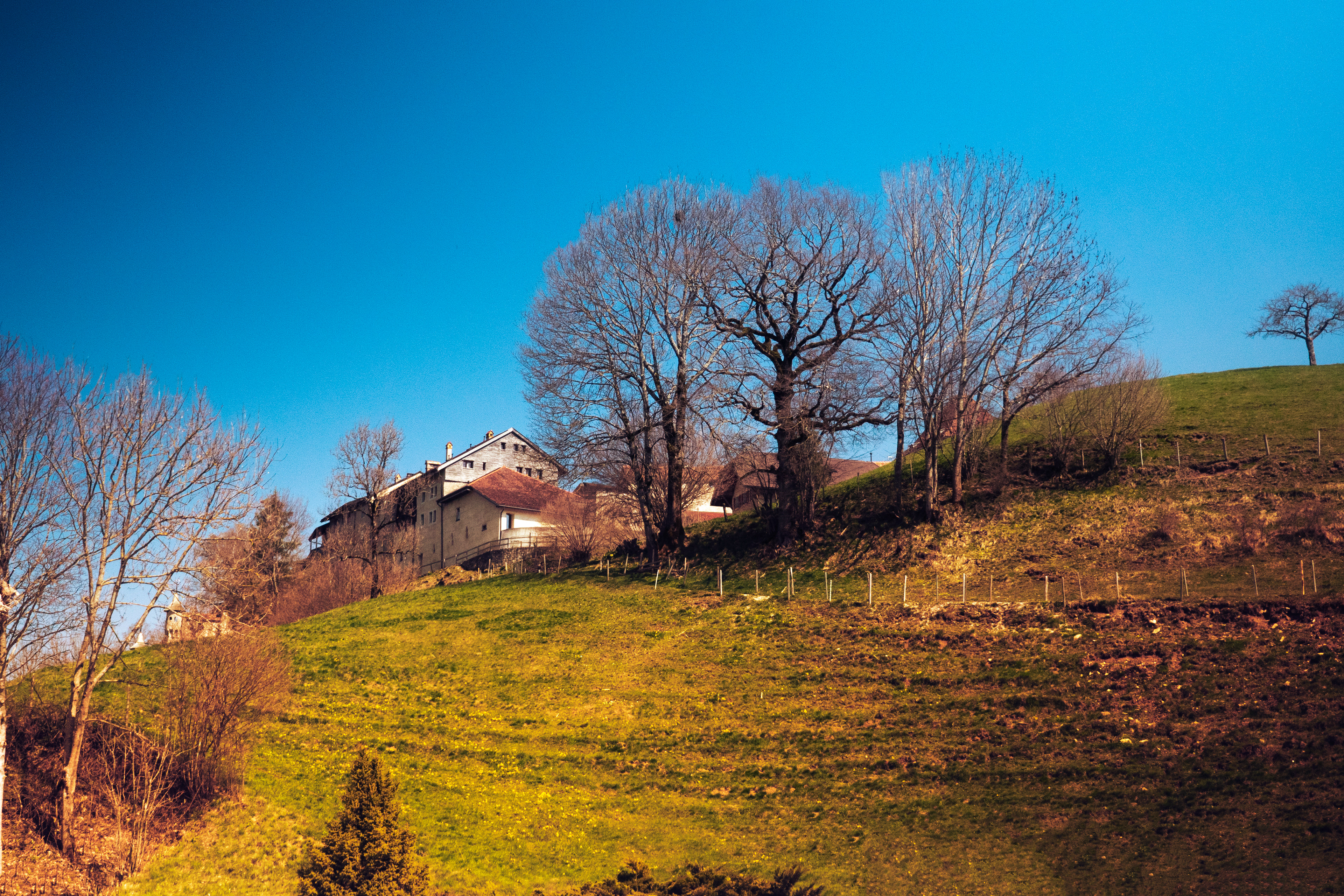 Castillo de La Gruyere