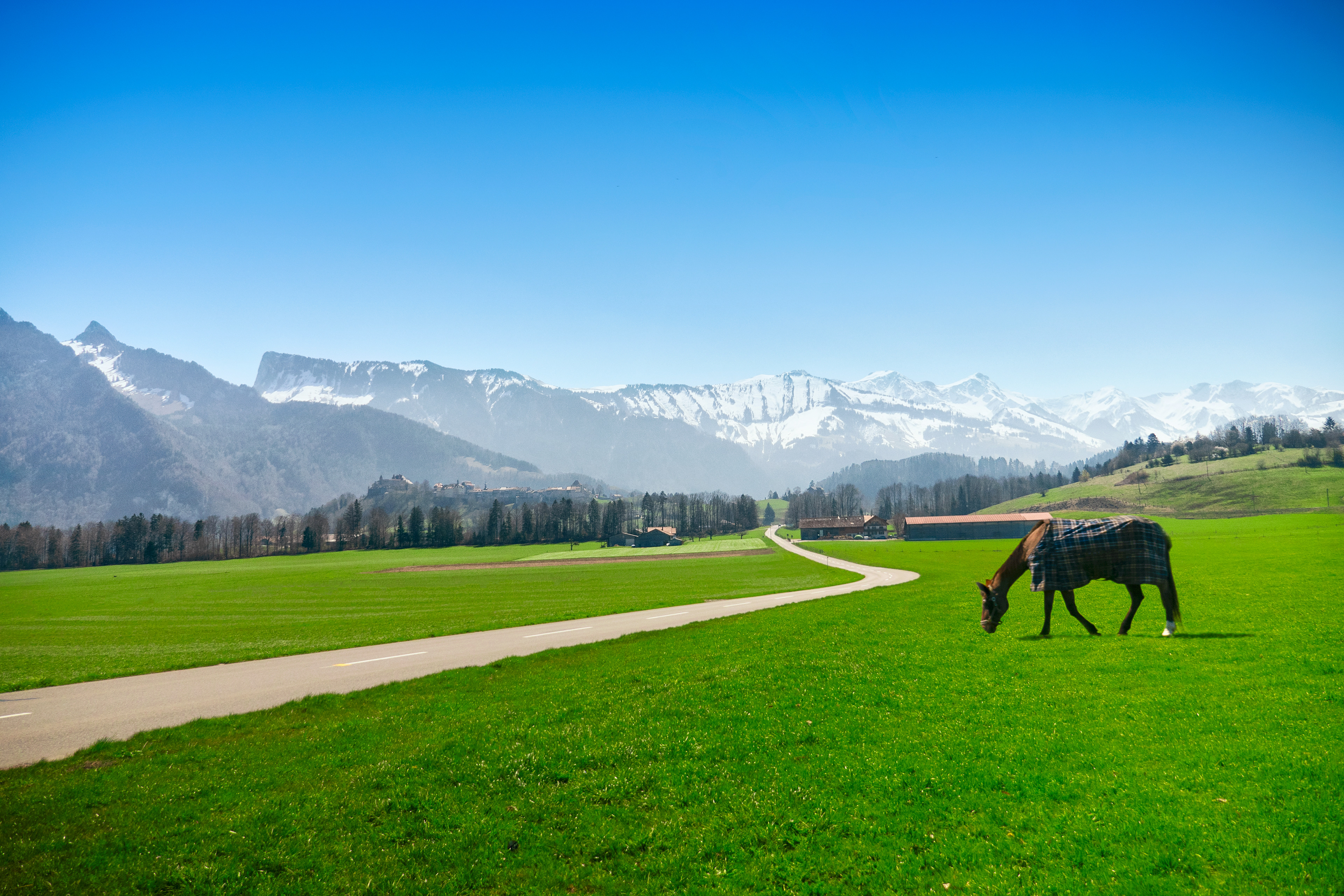 Alpes suizos II