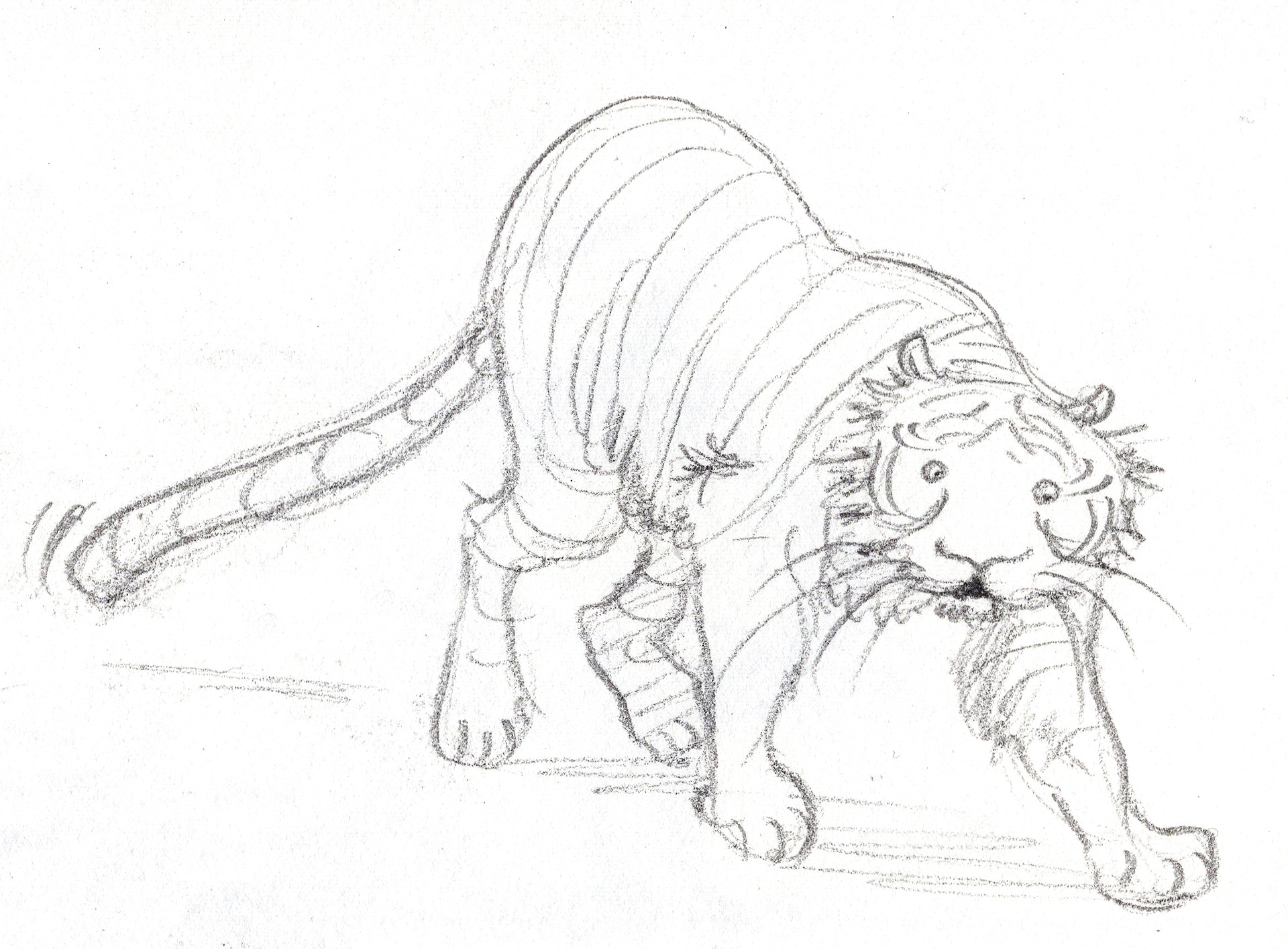 Tigrrrr