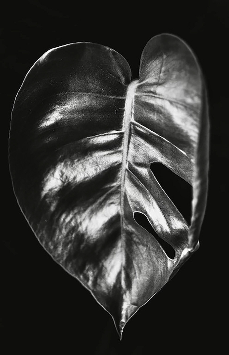 Sacrum