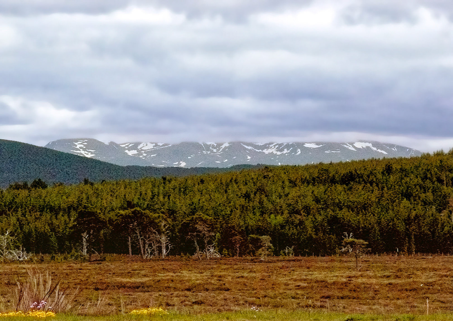 Cairngorms