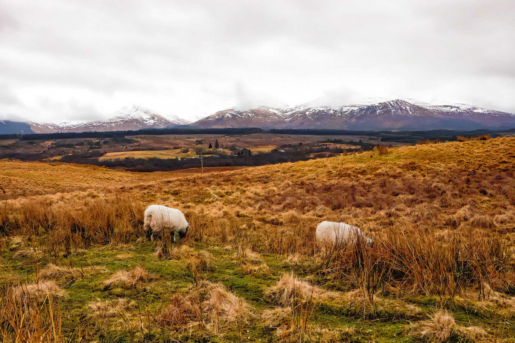 Wandeling naar Kilbride vervolg 