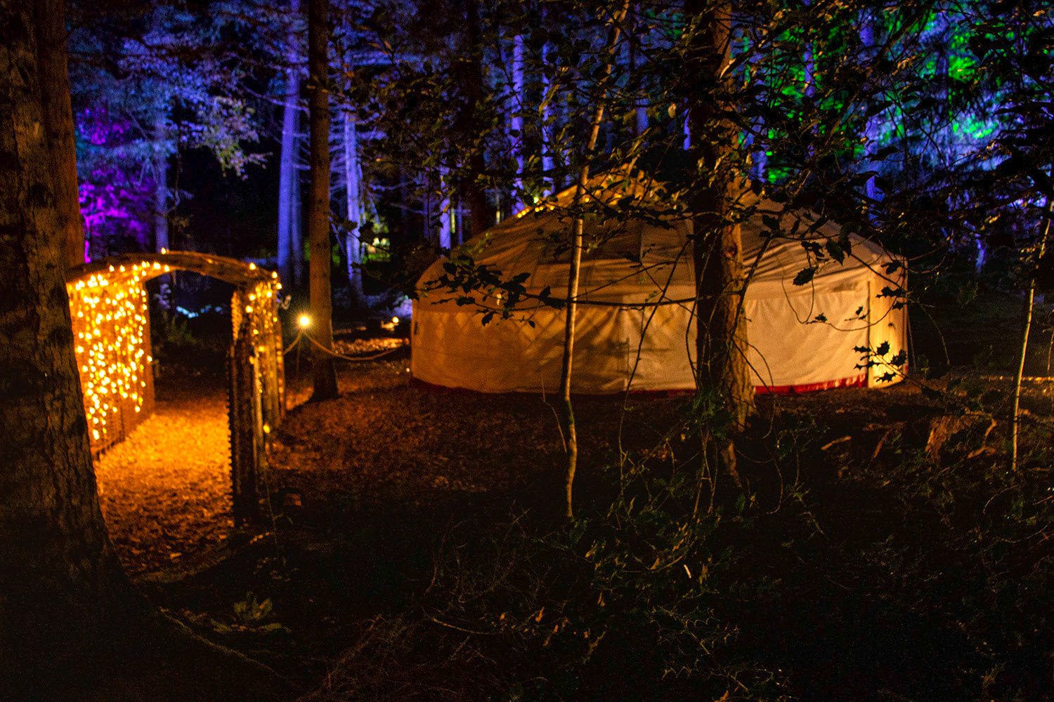 Enchanted Foresst - Entry