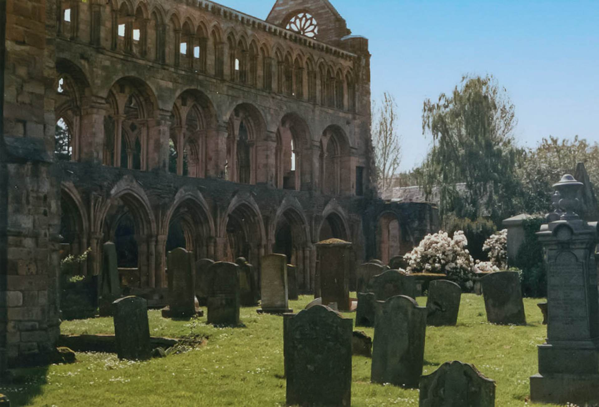 Jedburgh Abbey