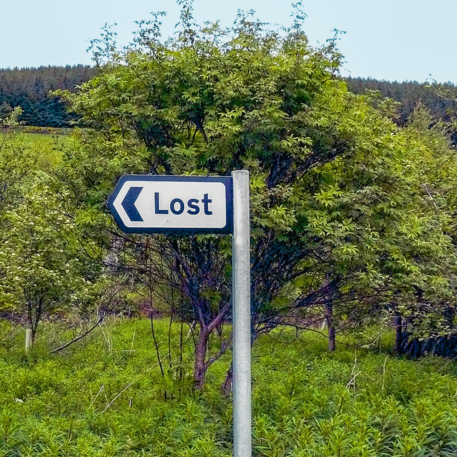 De weg naar... Lost