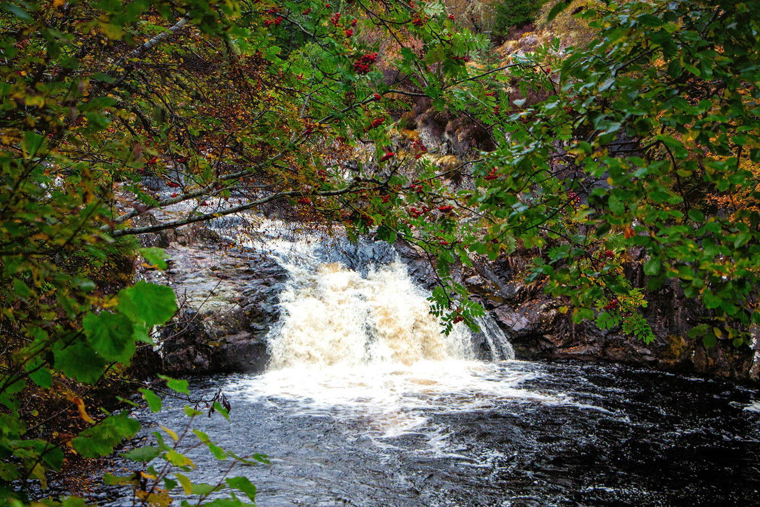 Falls of Shin
