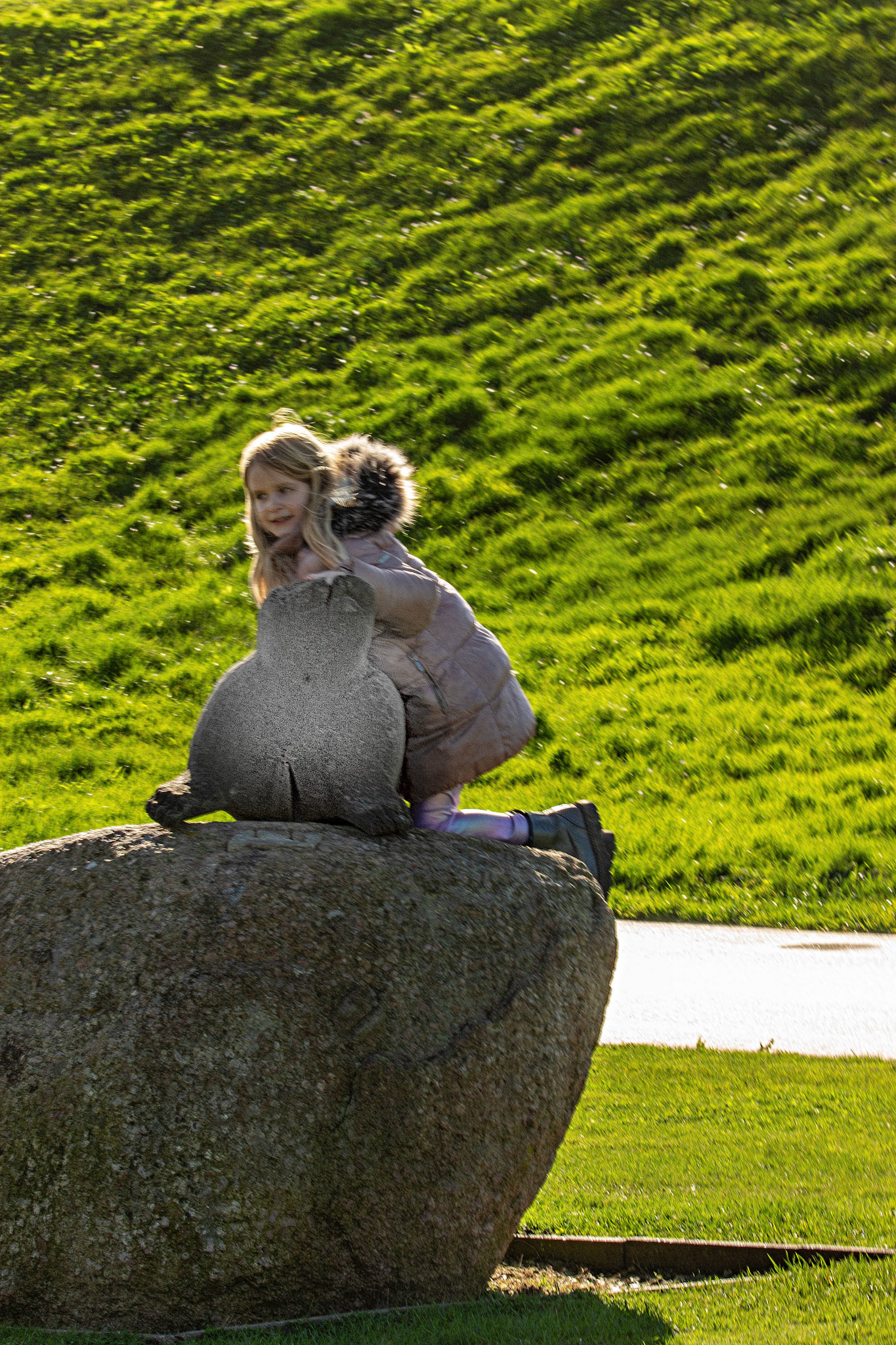 Hoyer - Orelie op zeehondbeeld