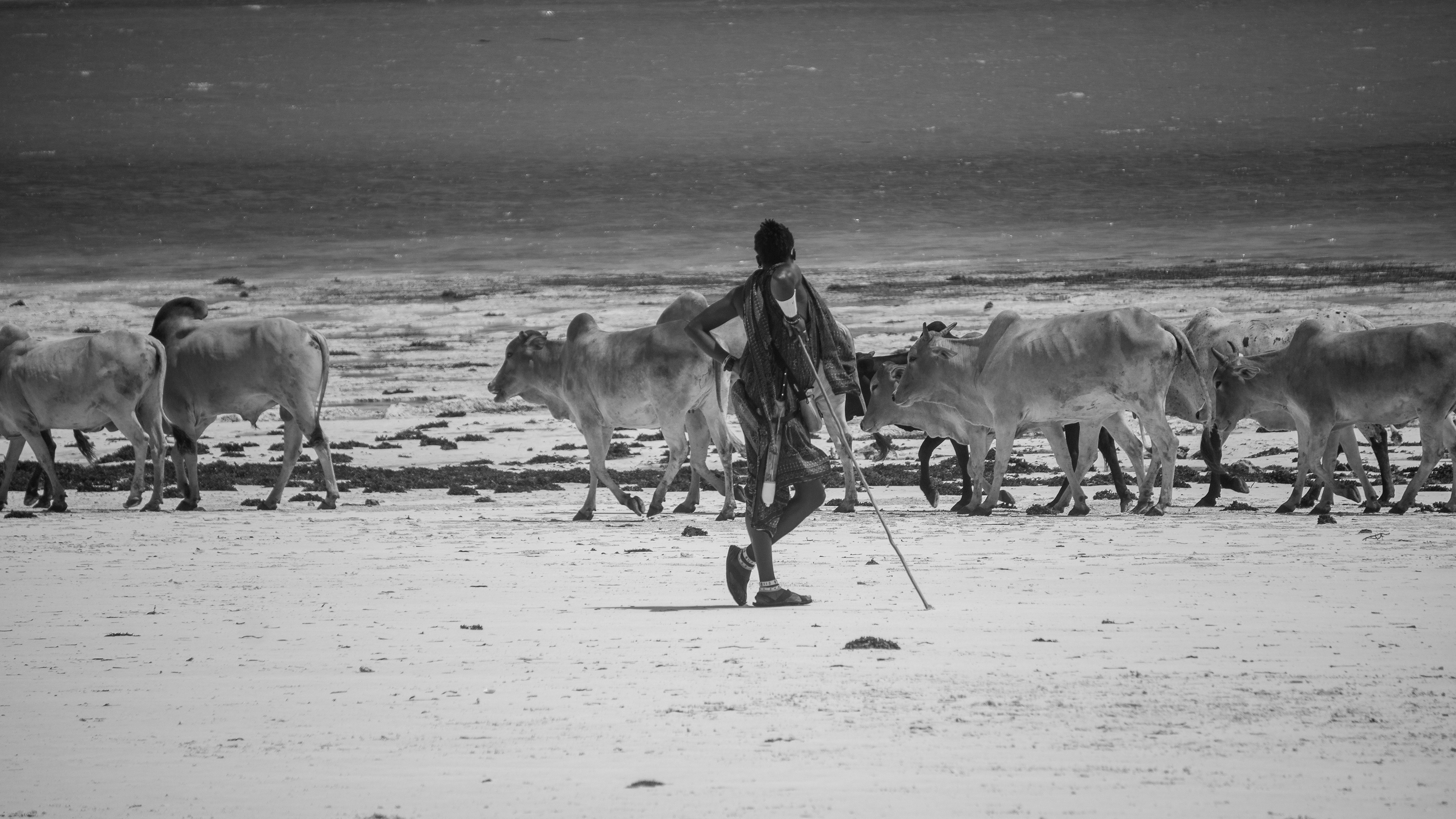 Masai on the beach III
