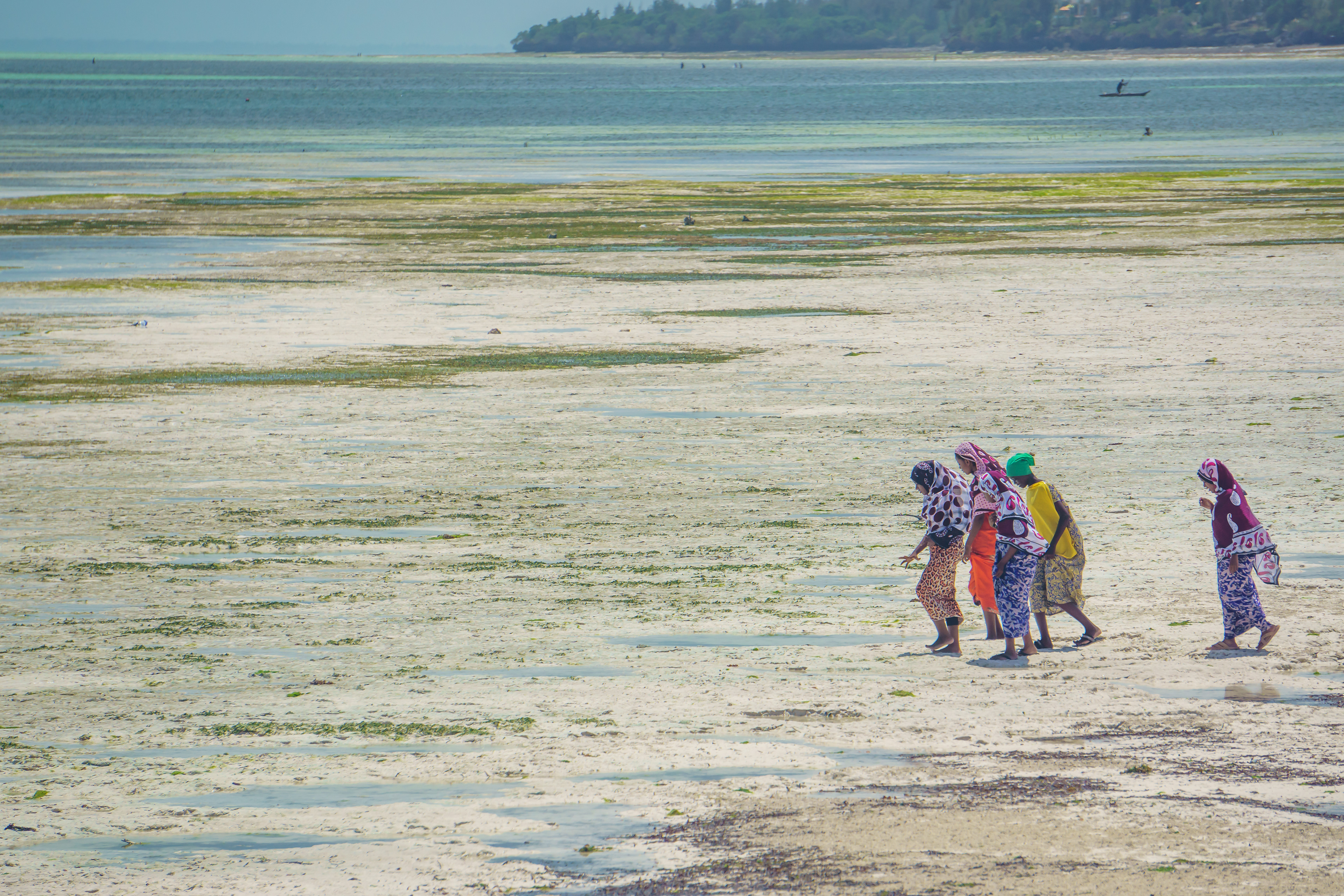 Walk to the ocean