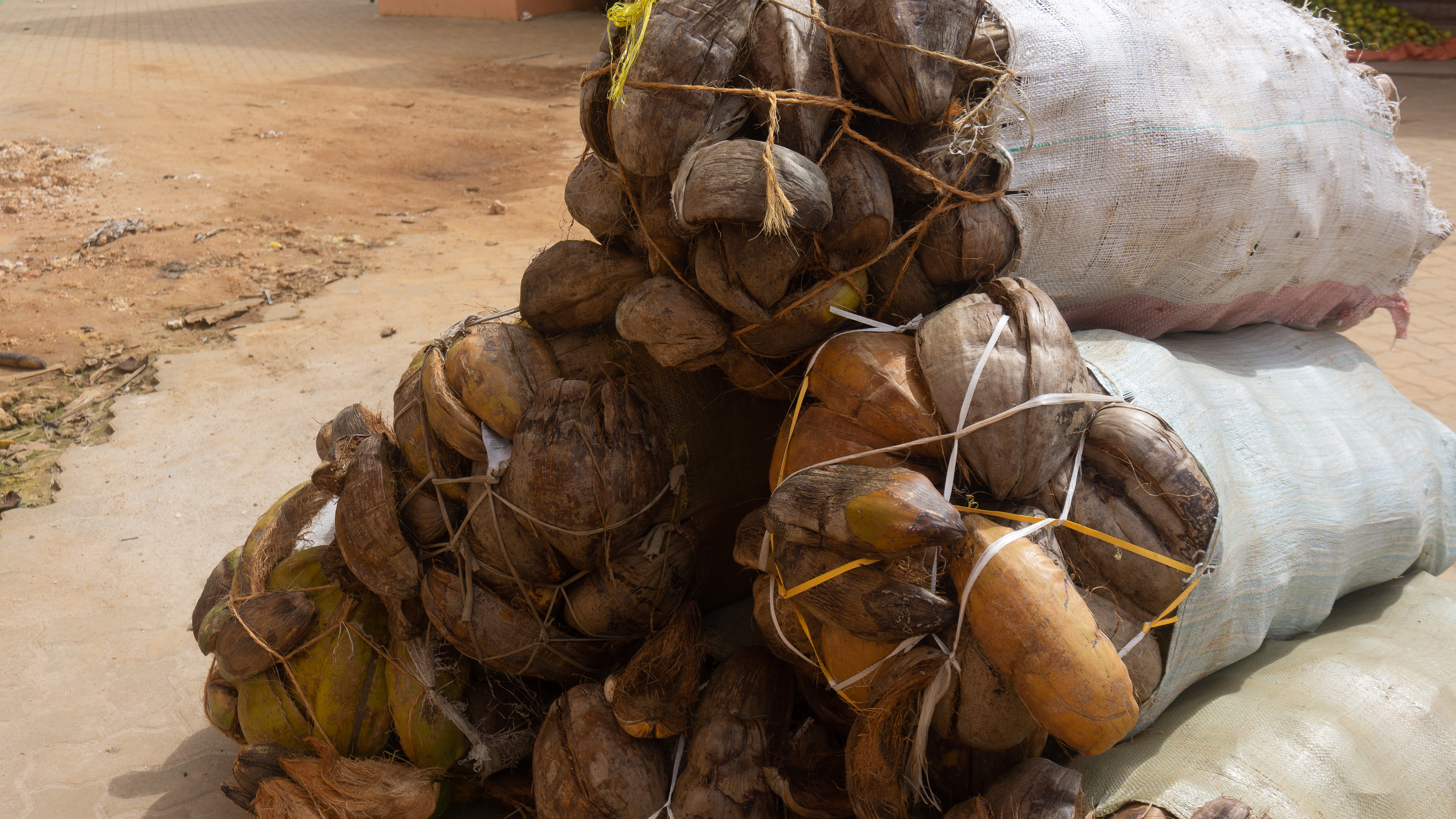 Coconut shells