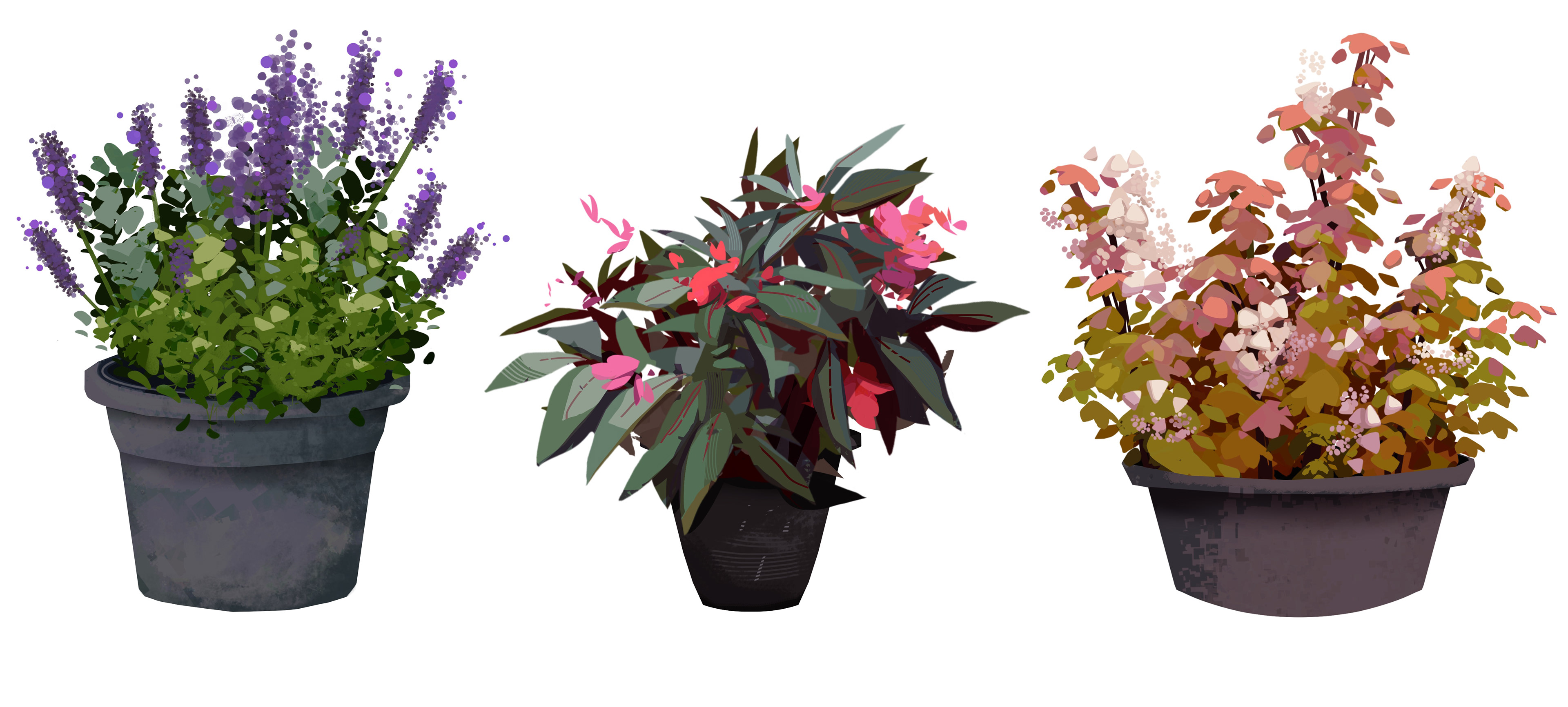 Potted plants - shape exploration
