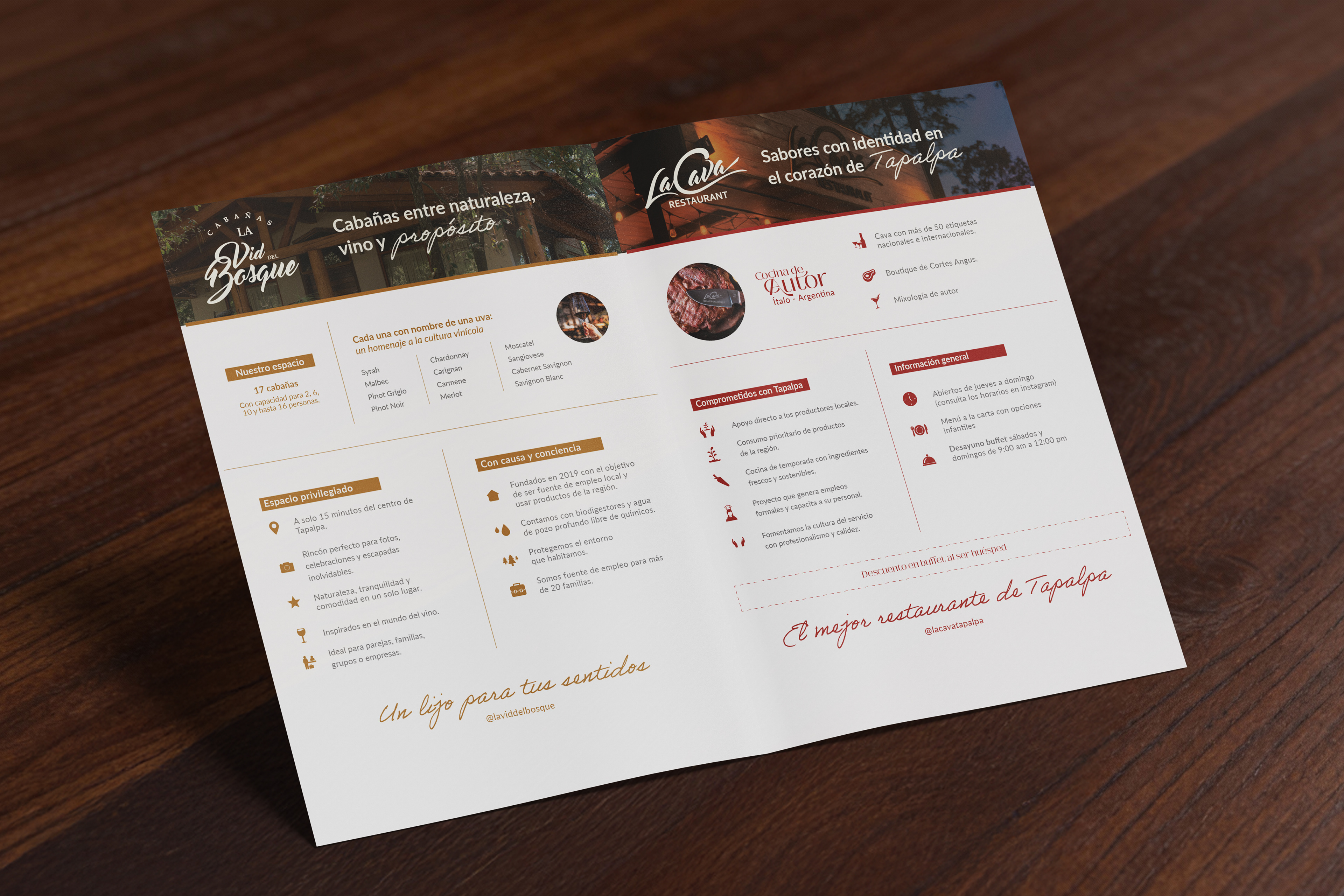 Diseño editorial para impreso de información de proyectos