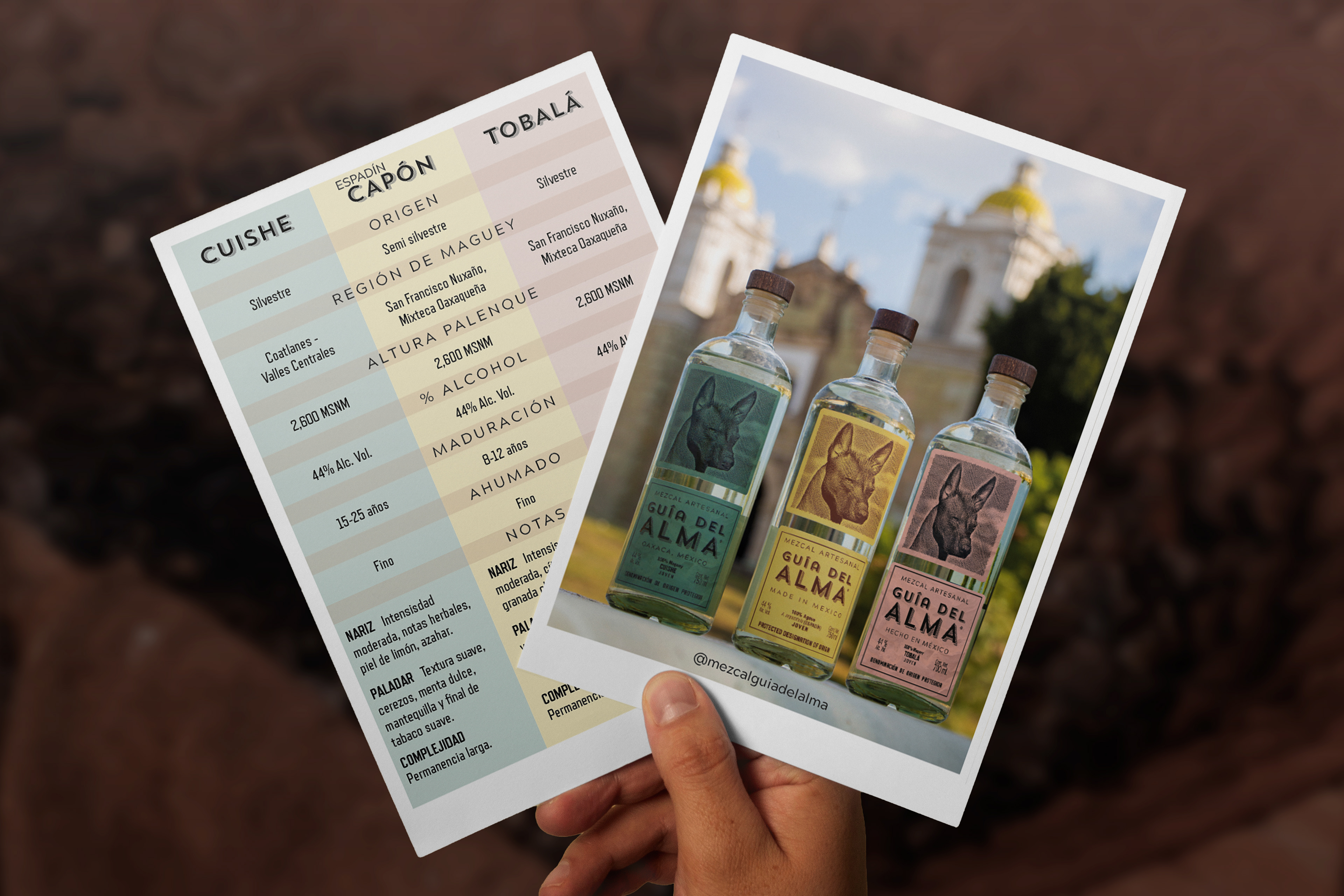 Postales informativas