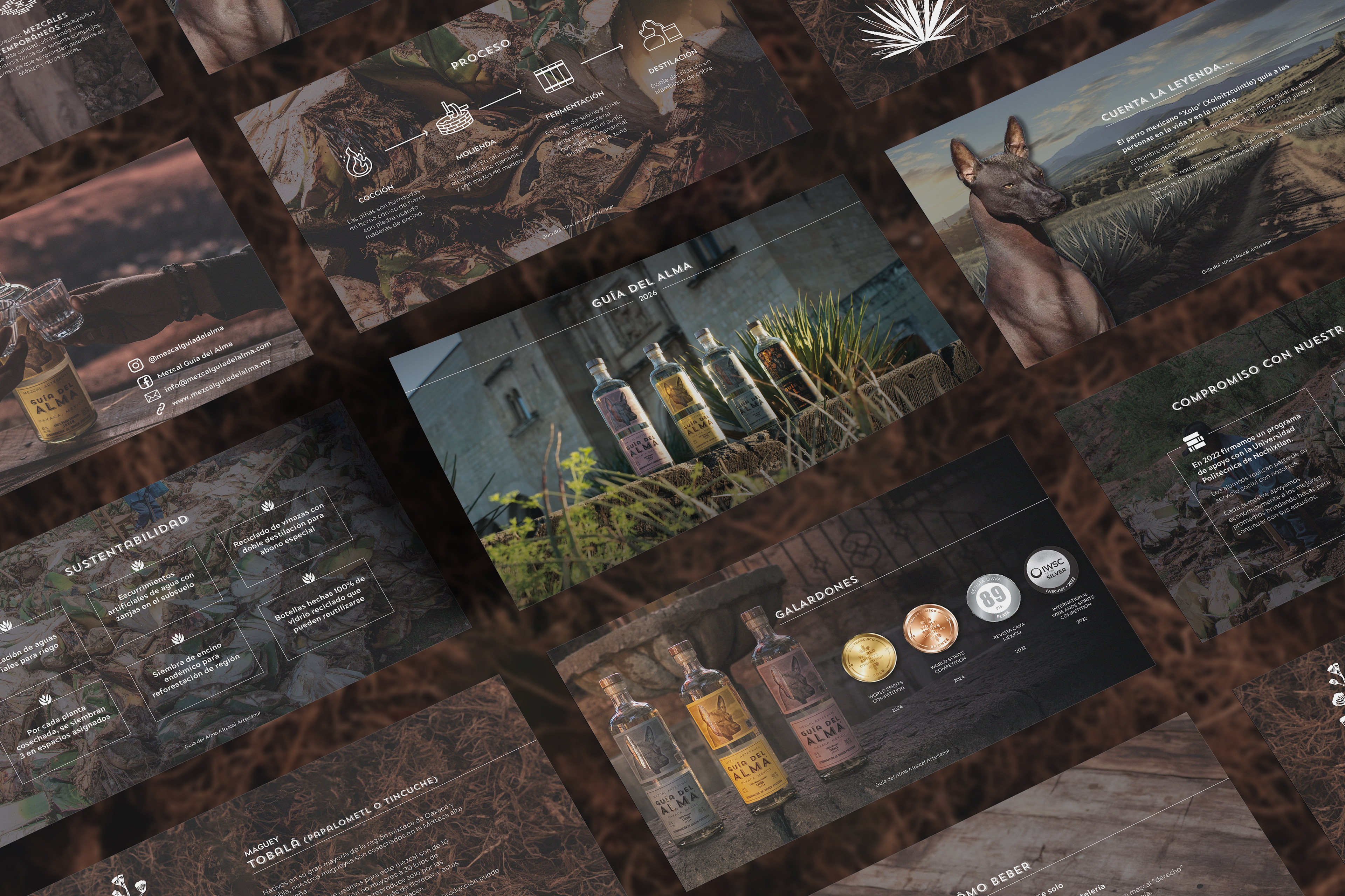 Diseño de presentación con fichas técnicas