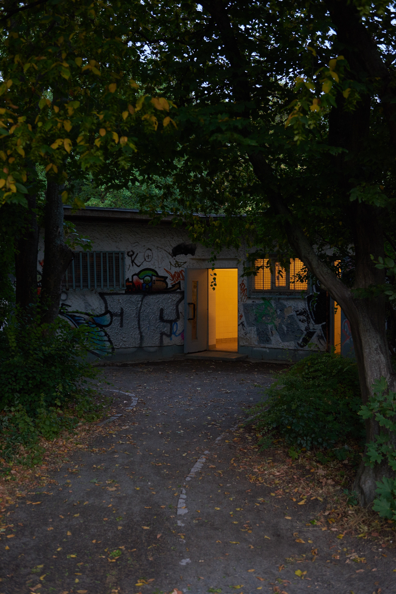 20:02:56
