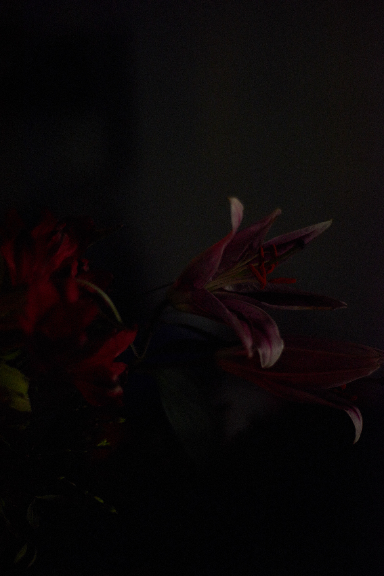 19:05:48