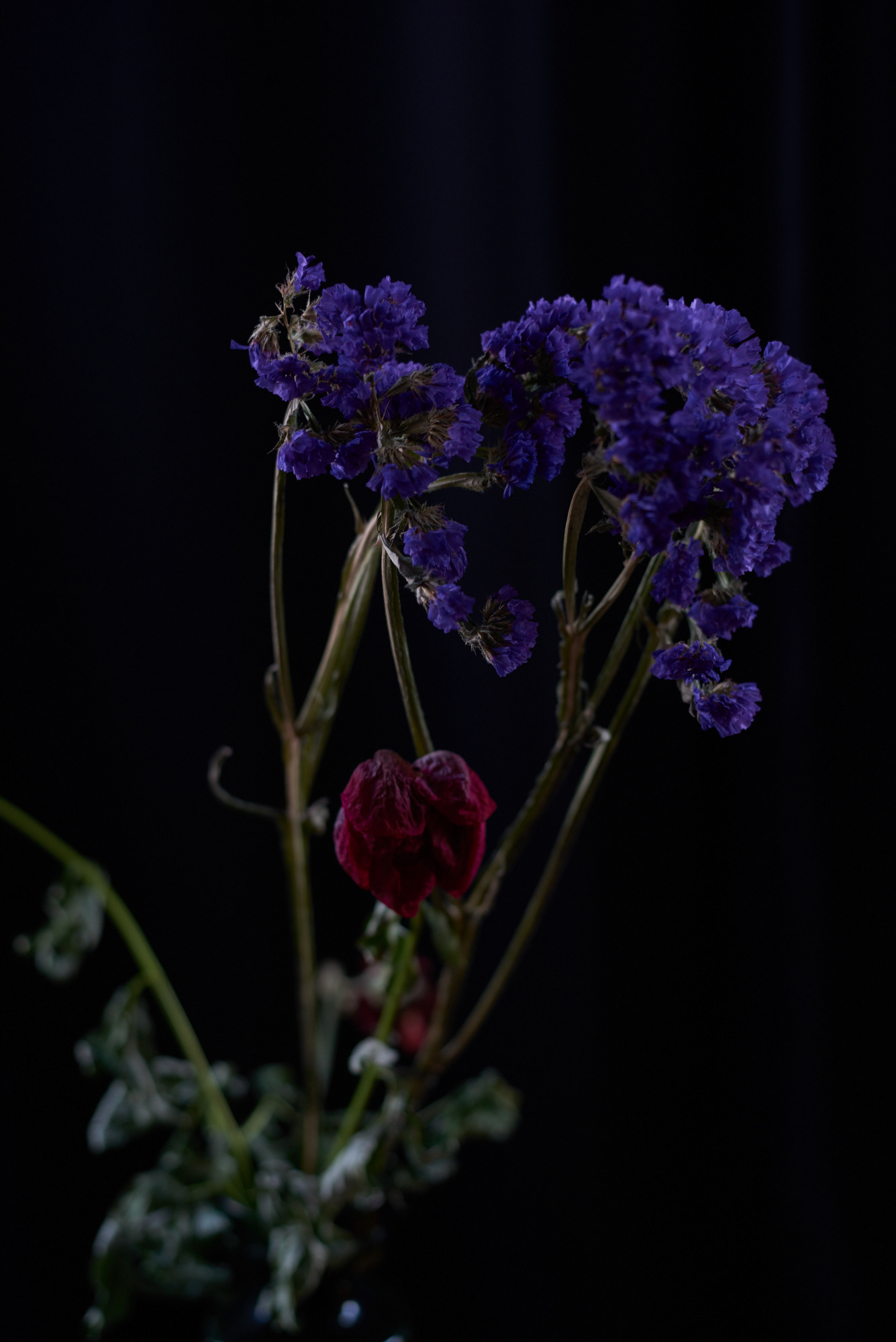06:59:09