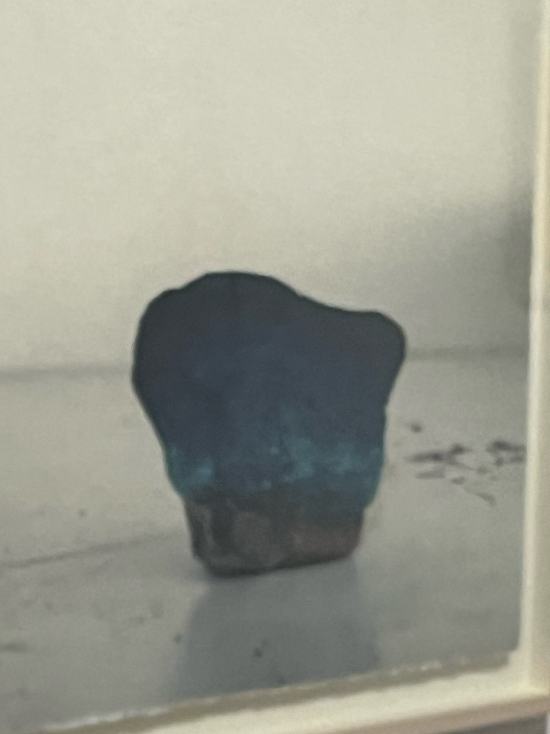 정경식