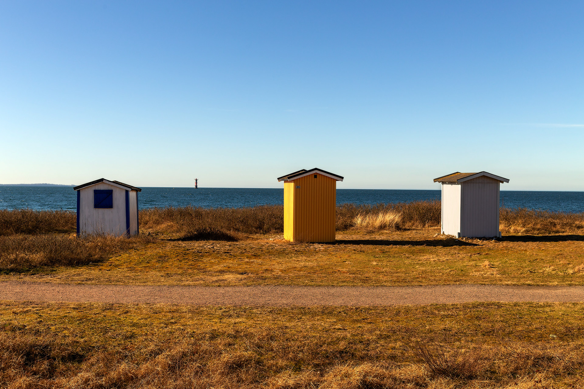 Viken
