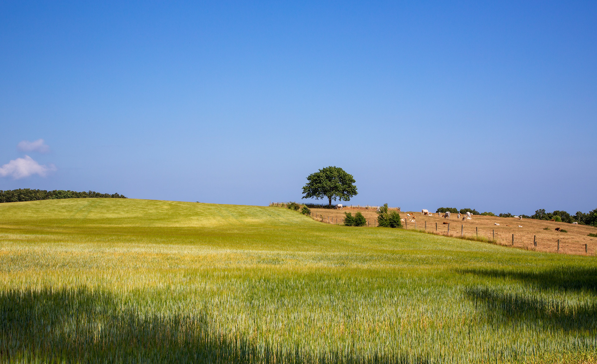 Skåne