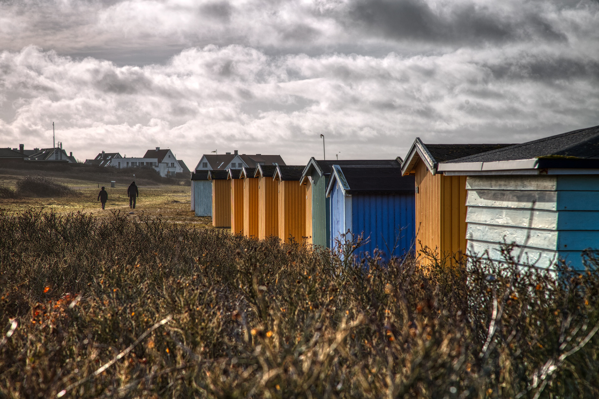Viken