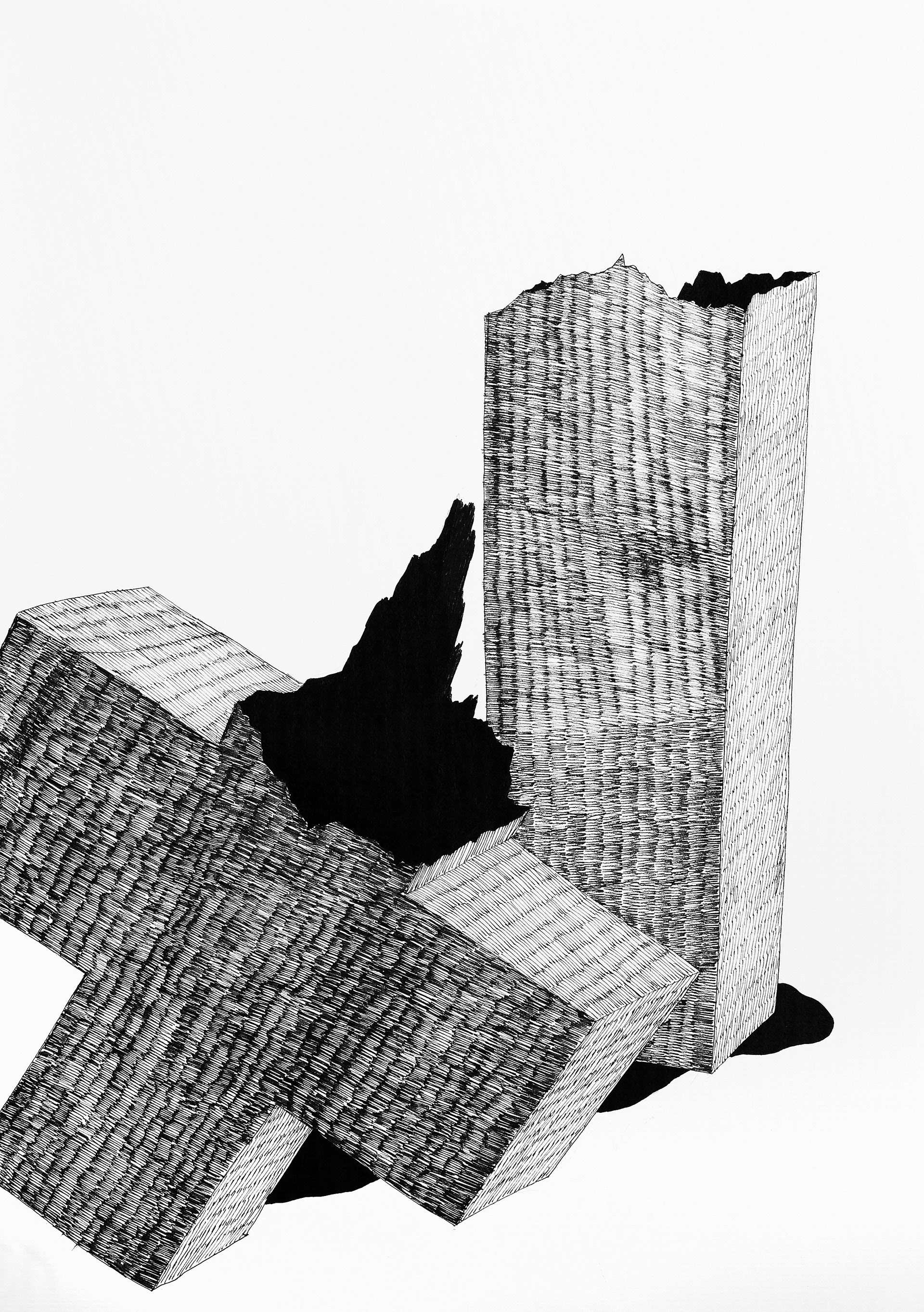 Your Truths Are Like My Moods I, from the series The Stations of the Crisis, 2014