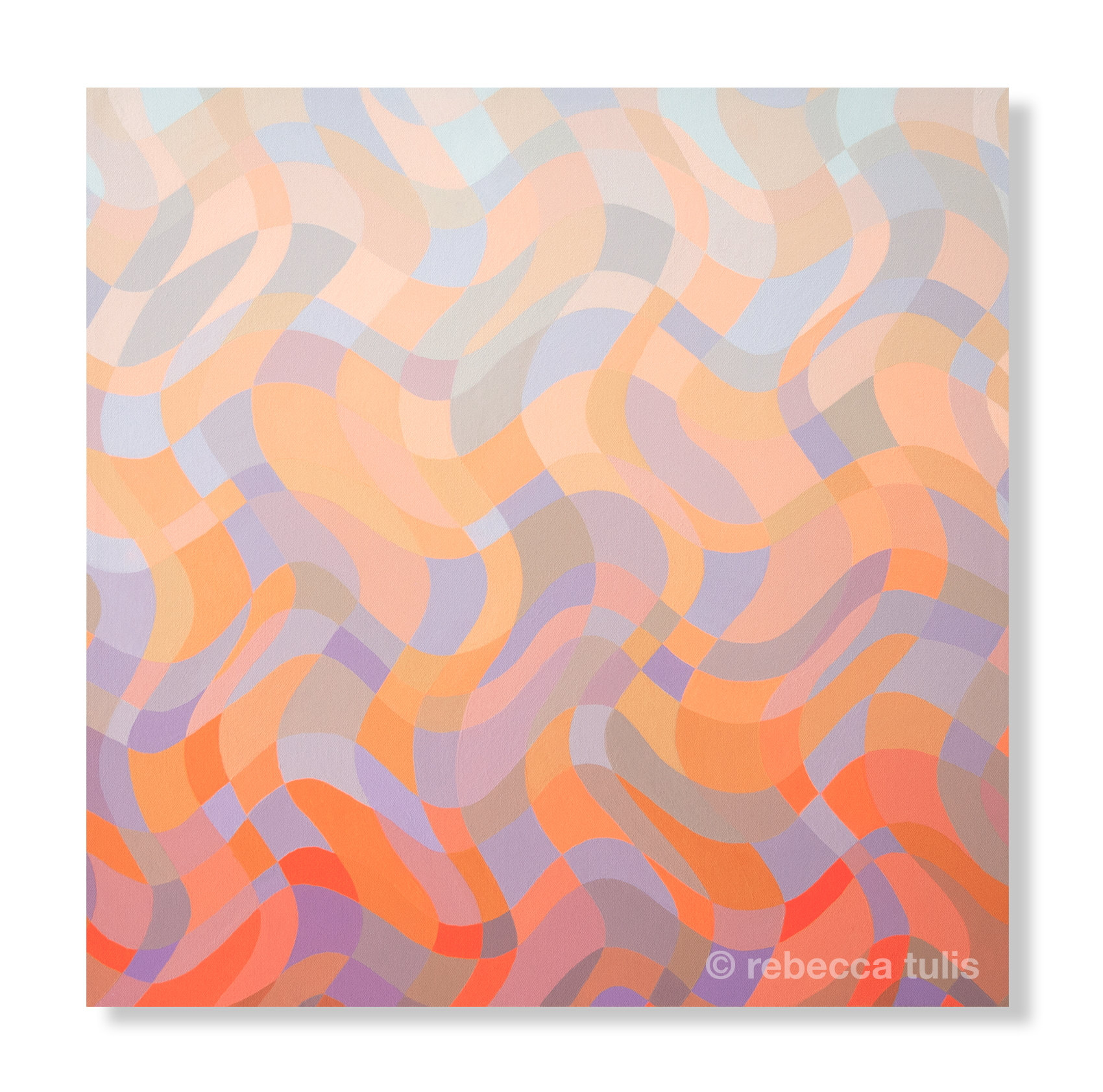 Sizzling, 24x24