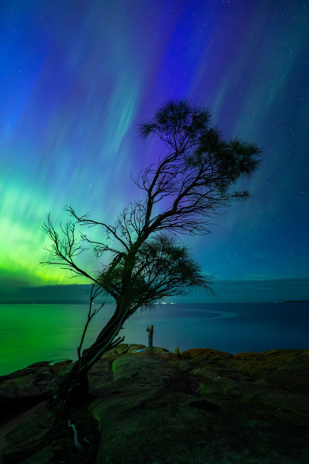 "Observers" by Nathan Waterhouse