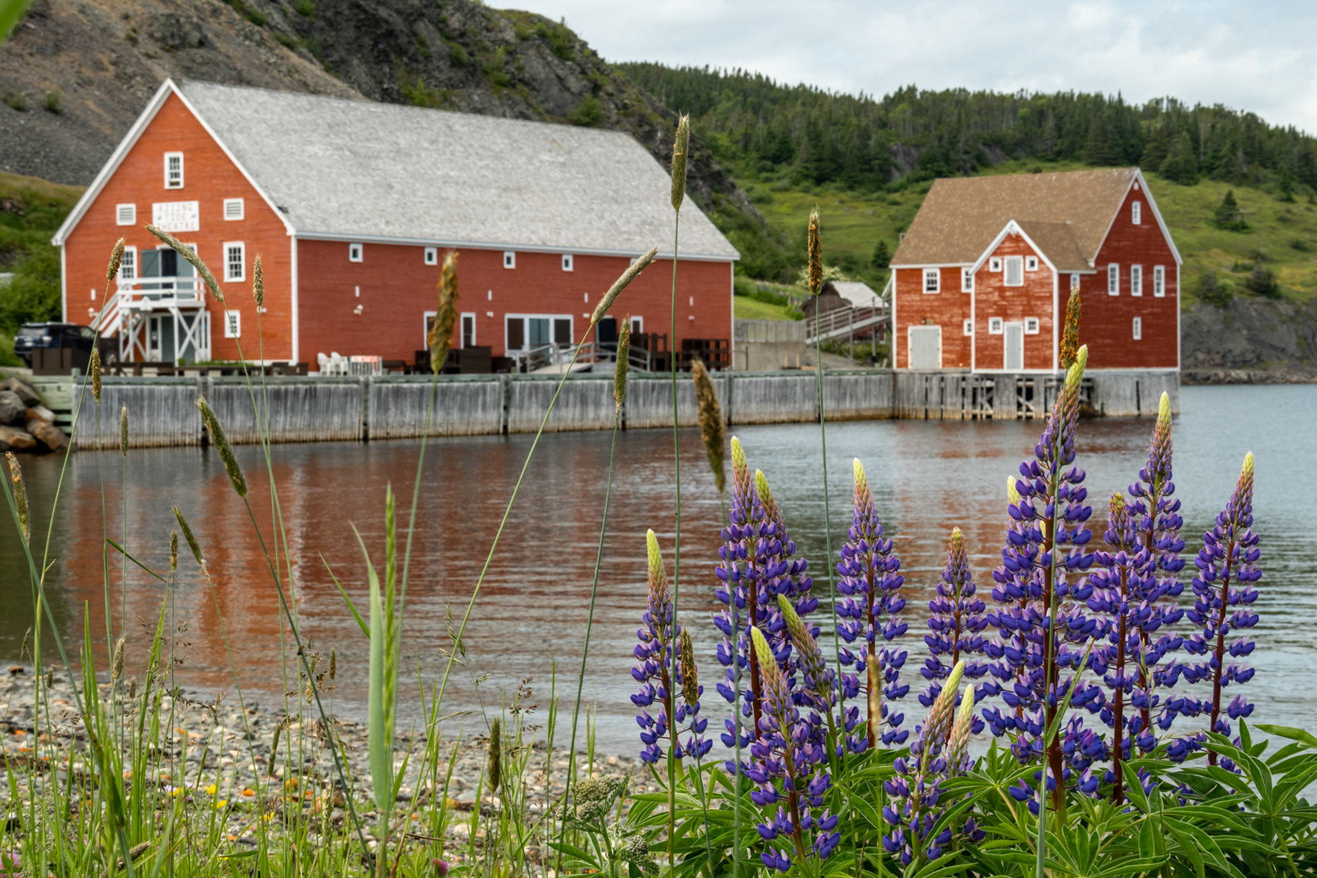Trinity Newfoundland