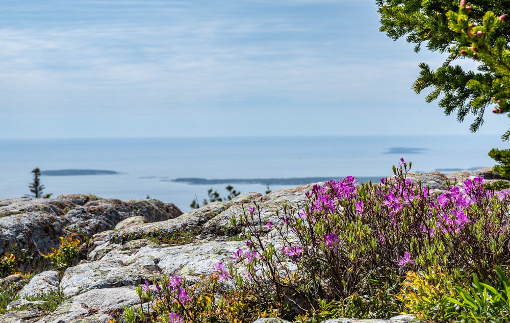 Cadillac Mountain, Acadia National Park