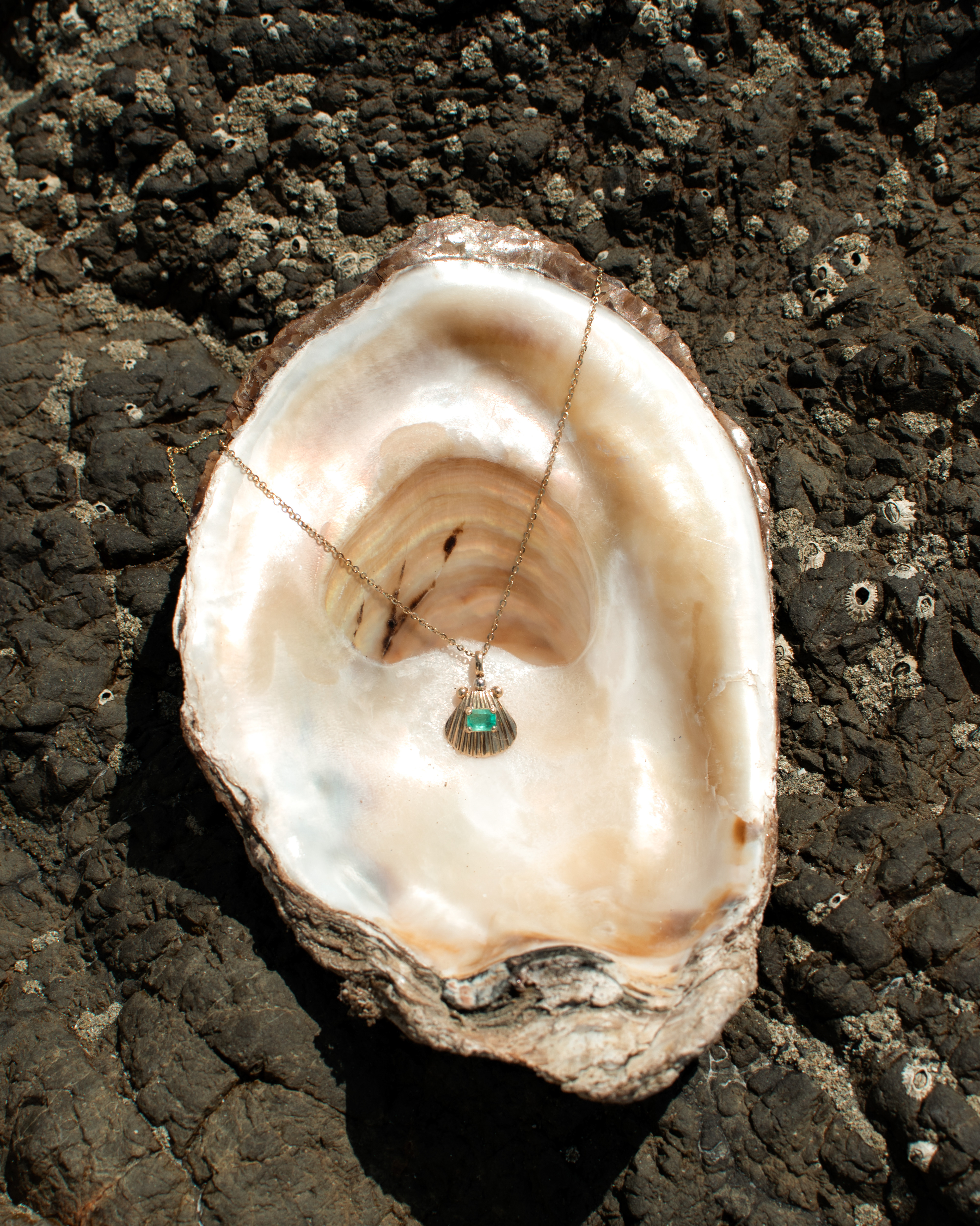Cevallos Joyas - Summer Capsule