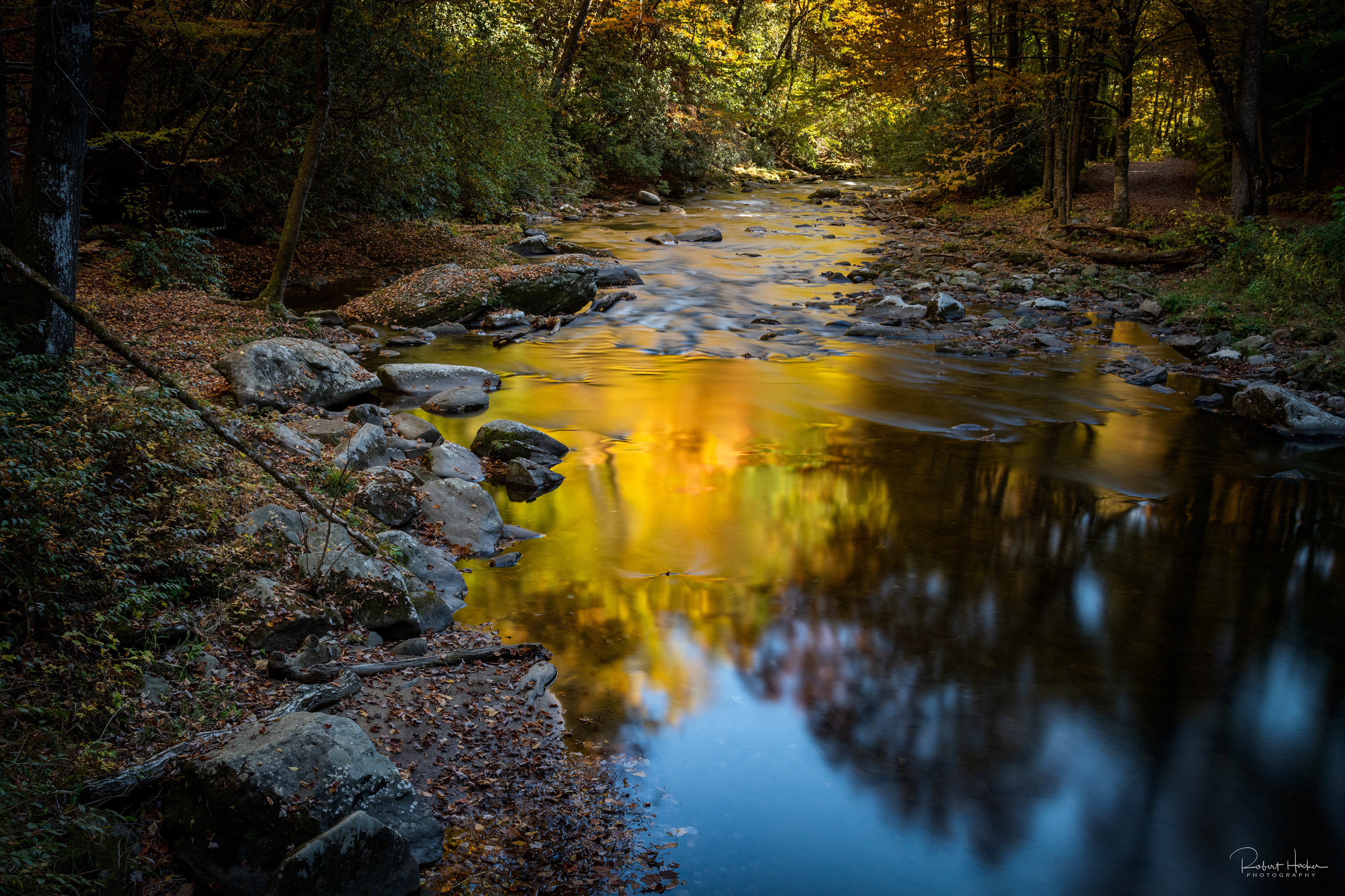 Reflection along the stream near Tom Branch Falls, Great Smoky Mountains National Park