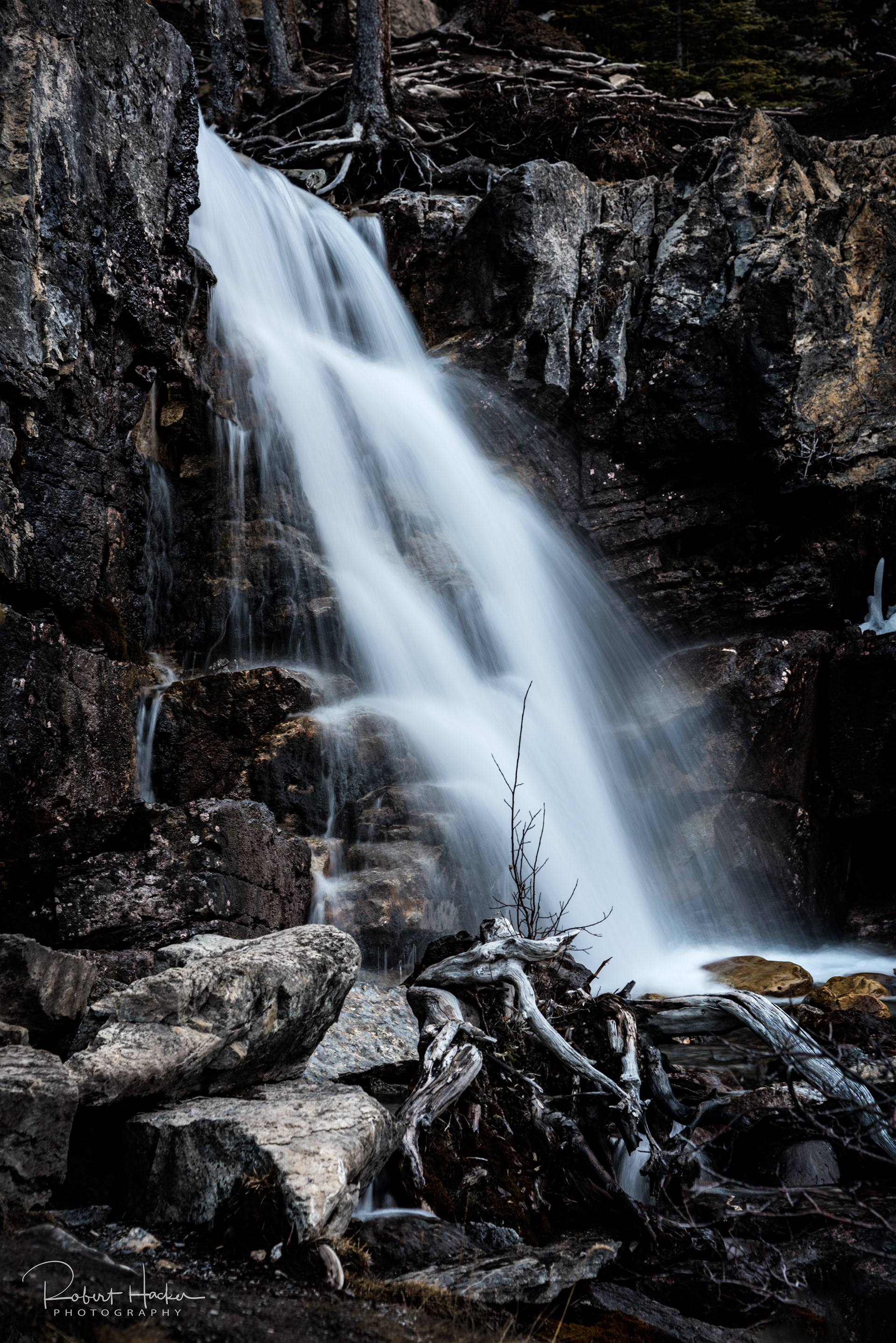 Tangle Falls, Jasper National Park, Alberta, Canada