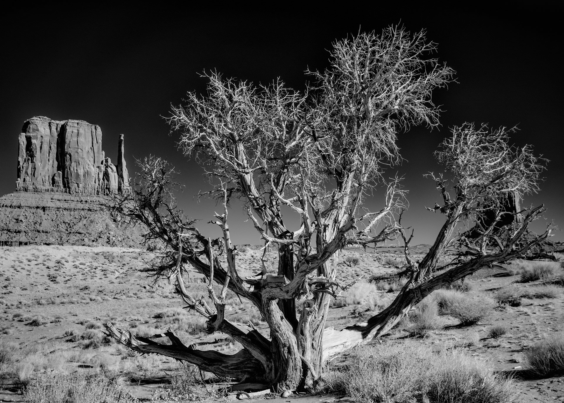 West Mitten, Monument Valley Navajo Tribal Park