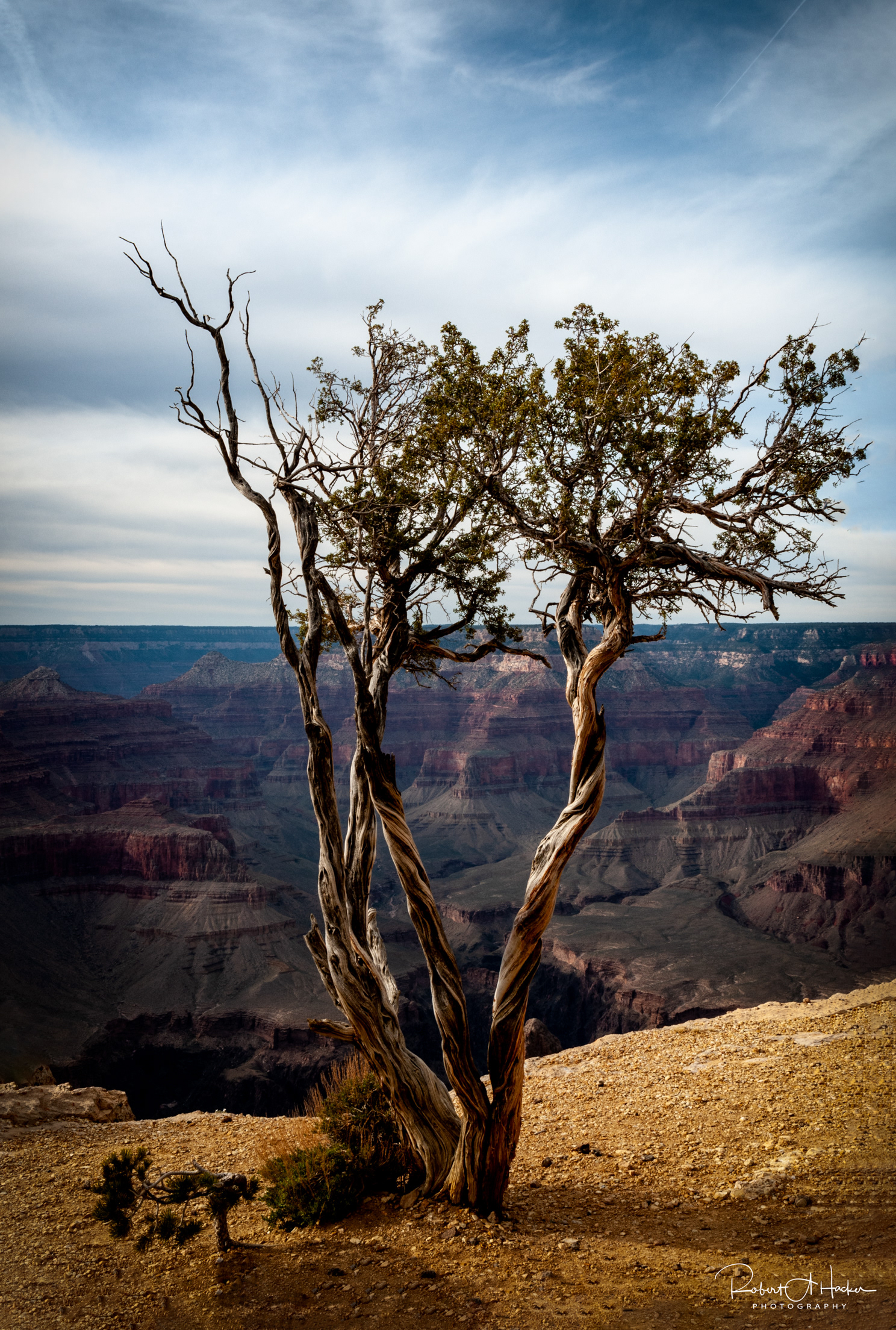 Grand Canyon National Park, Hopi Point