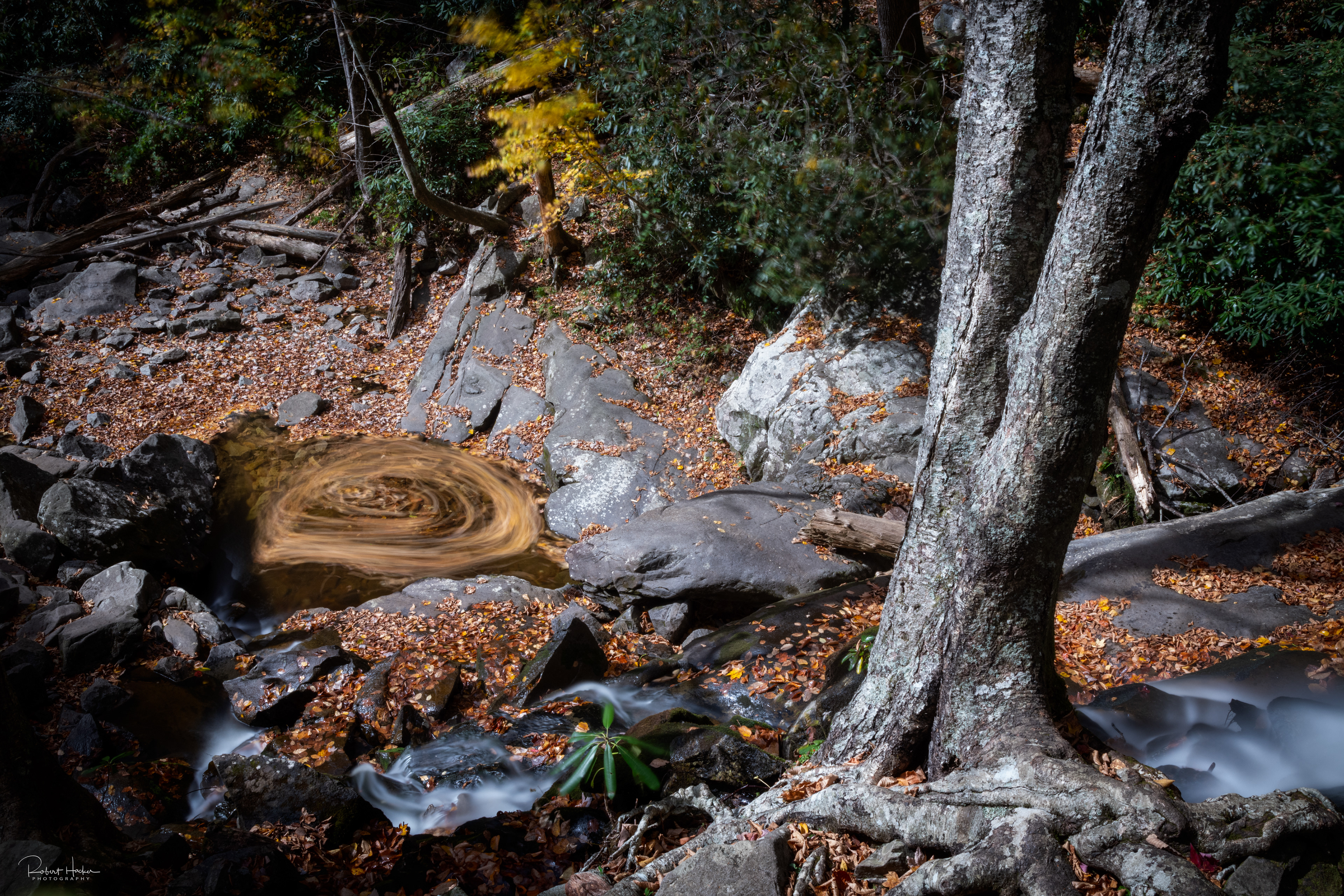 Whirlpool in the stream below Laurel Falls, Great Smoky Mountains National Park