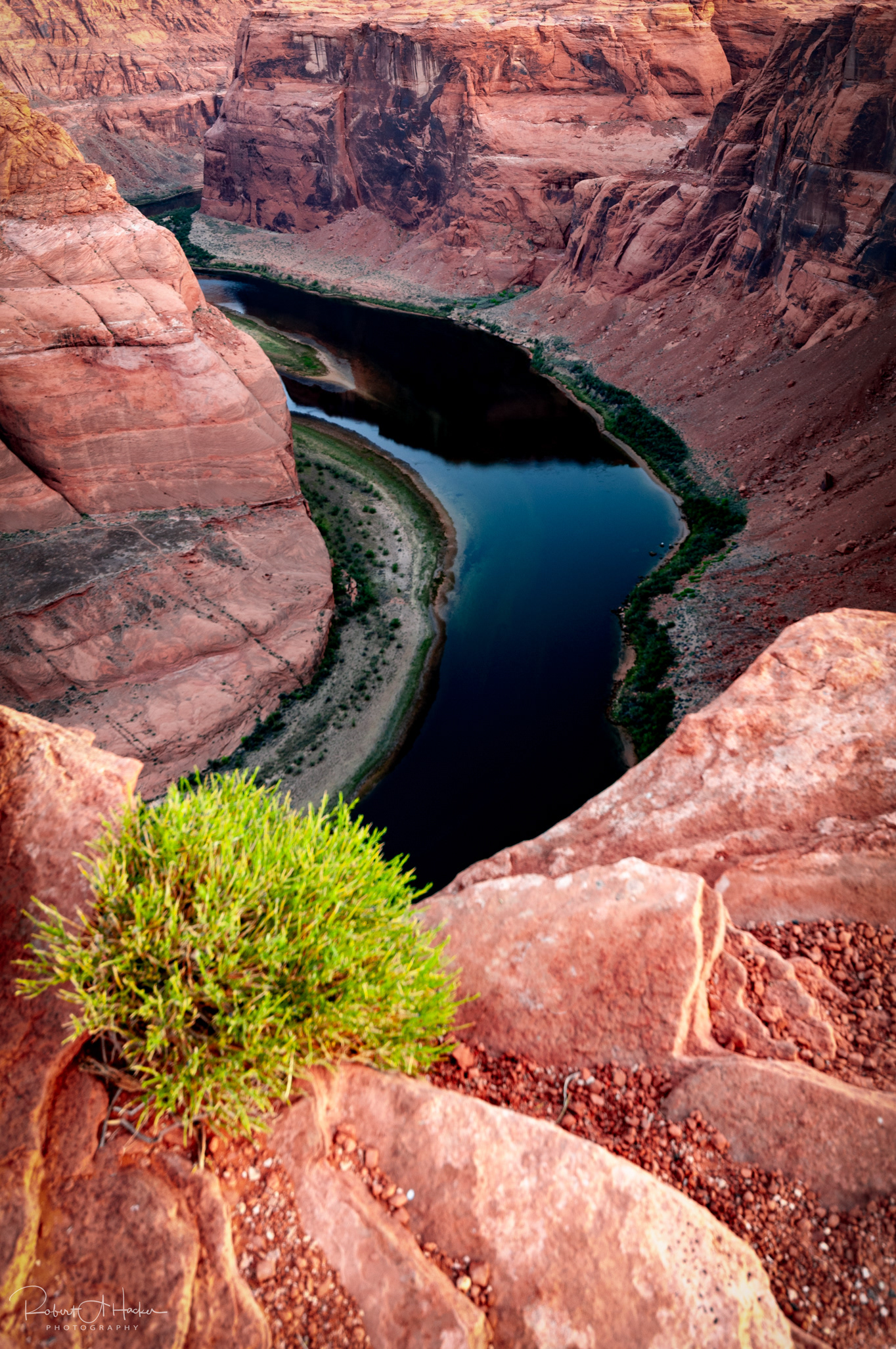 Horseshoe Bend, Page AZ